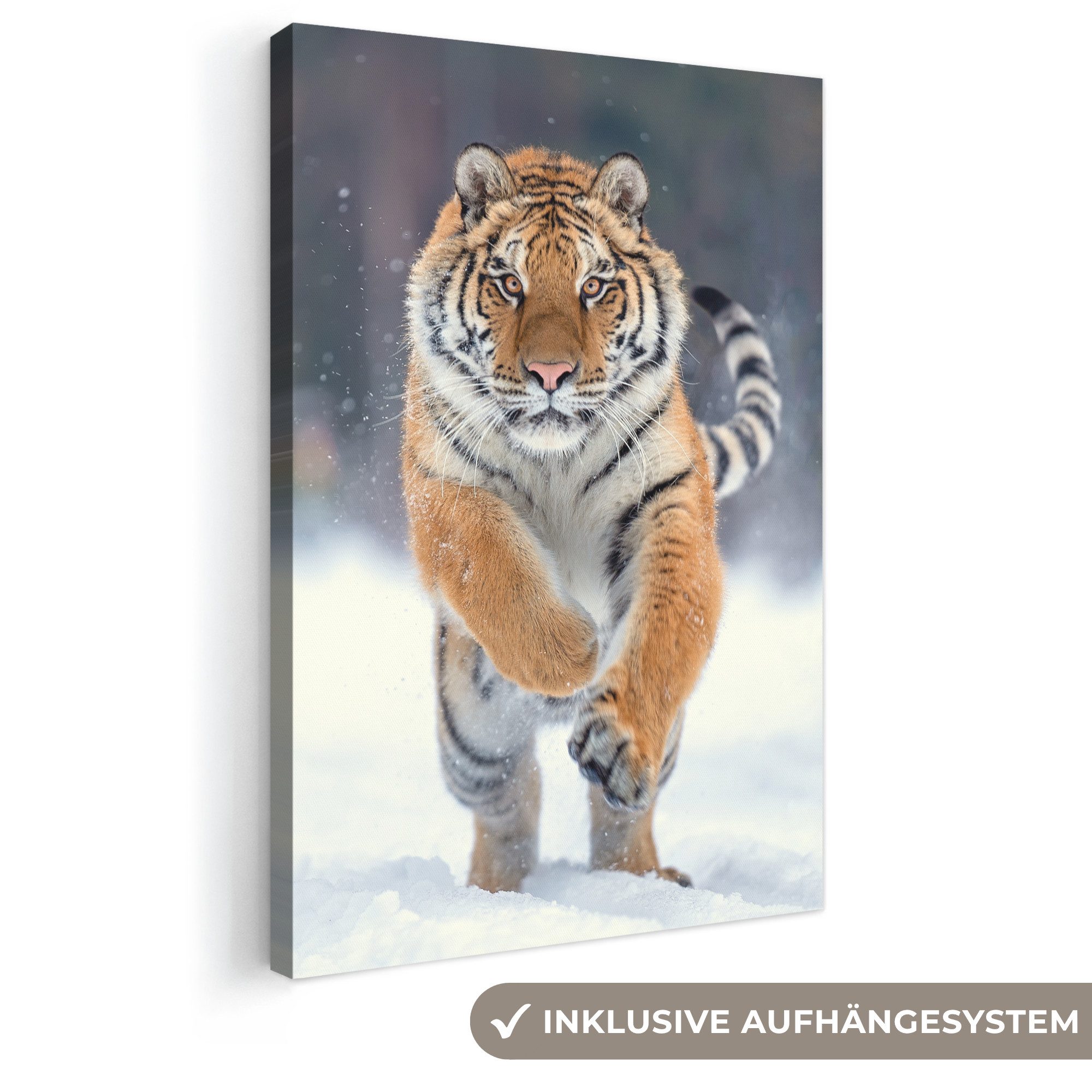 OneMillionCanvasses® Leinwandbild Tiger - Landschaft - Schnee - Tiere, Fotodruck (1 St), Leinwand Canvas Wandbild, Wanddekoration 20x30 cm