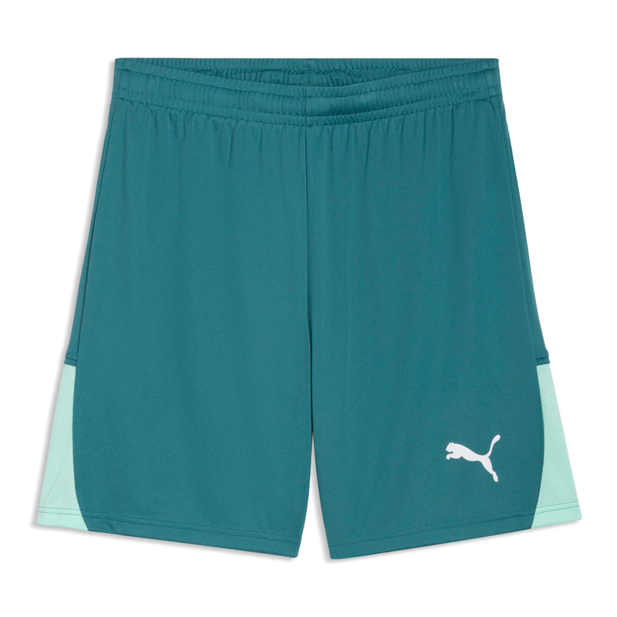 PUMA Trainingsshorts Puma Herren Short teamLIGA26 Shorts 706554