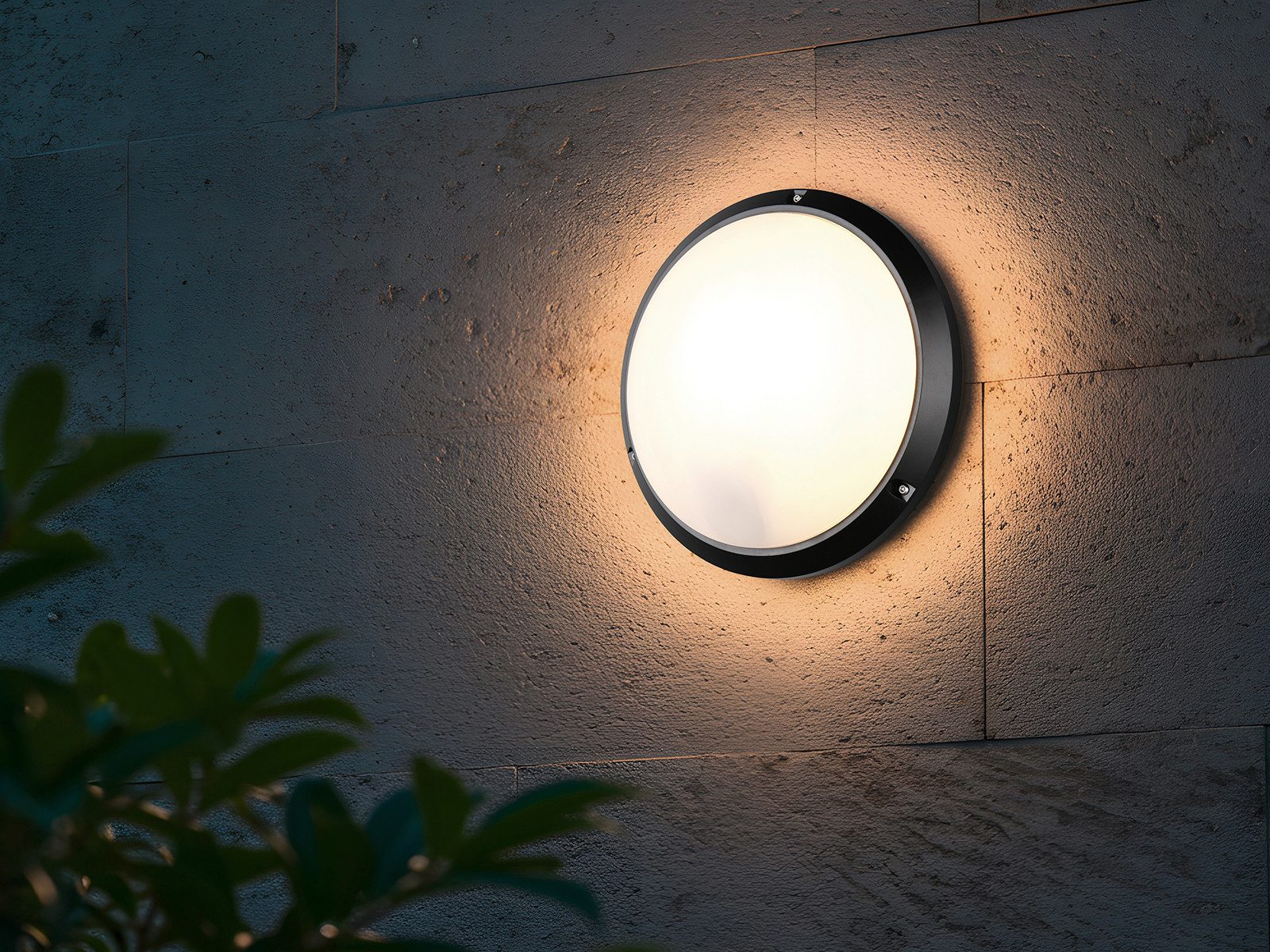 Reality Leuchten LED Außen-Wandleuchte stoßfest & wetterfest IP65, Ø 27cm, LED wechselbar, warmweiß, Fassadenbeleuchtung Außenbeleuchtung Hauswand dimmbares Leuchtmittel
