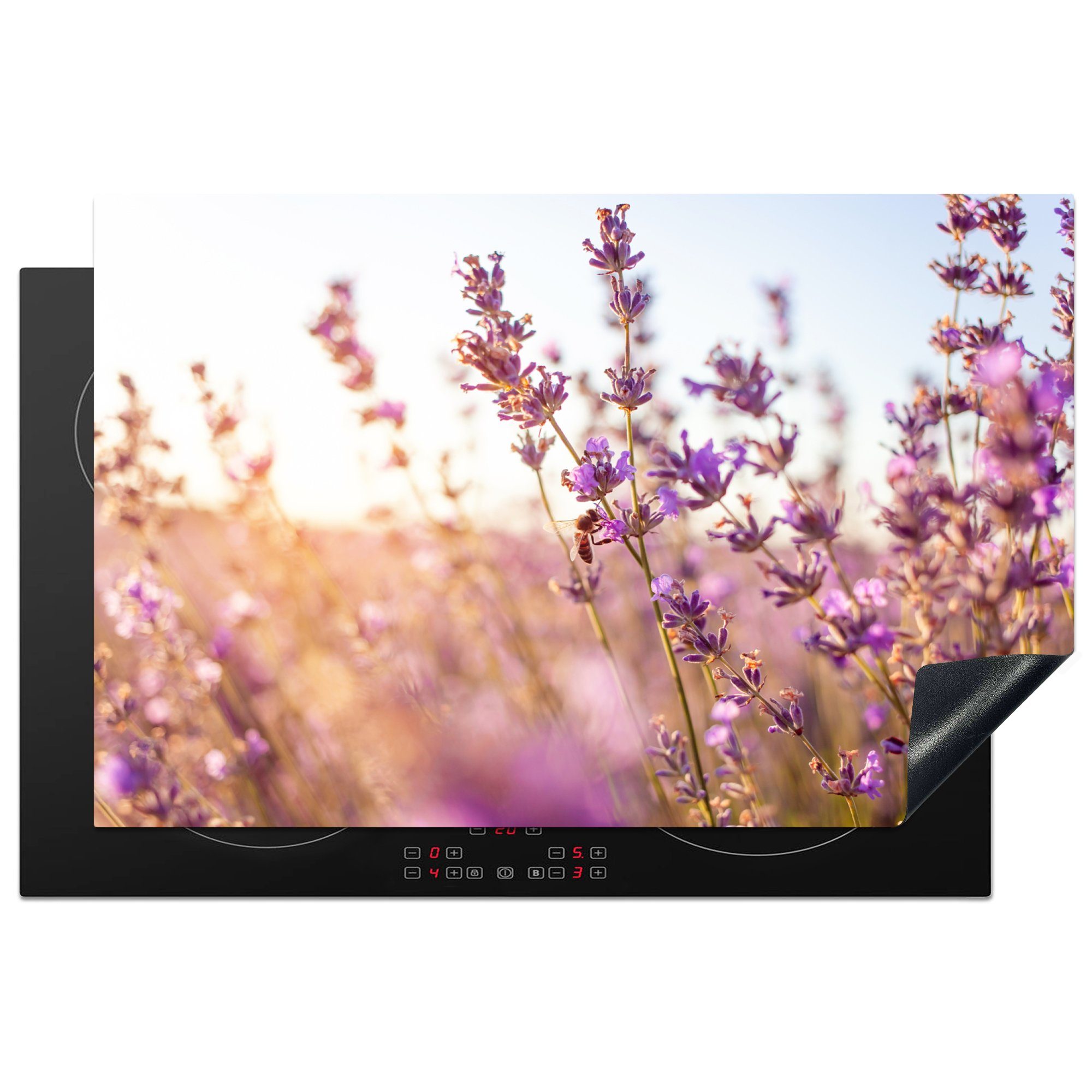 MuchoWow Herdblende-/Abdeckplatte Lavendel - Nahaufnahme - Sonne - Blumen - Lila, Vinyl, (1 tlg), 81x52 cm, Induktionskochfeld Schutz für die küche, Ceranfeldabdeckung