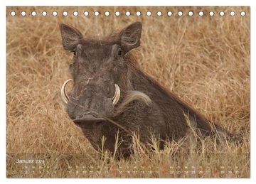 CALVENDO Wandkalender Zimbabwe (Tischkalender 2024 DIN A5 quer), CALVENDO Monatskalender