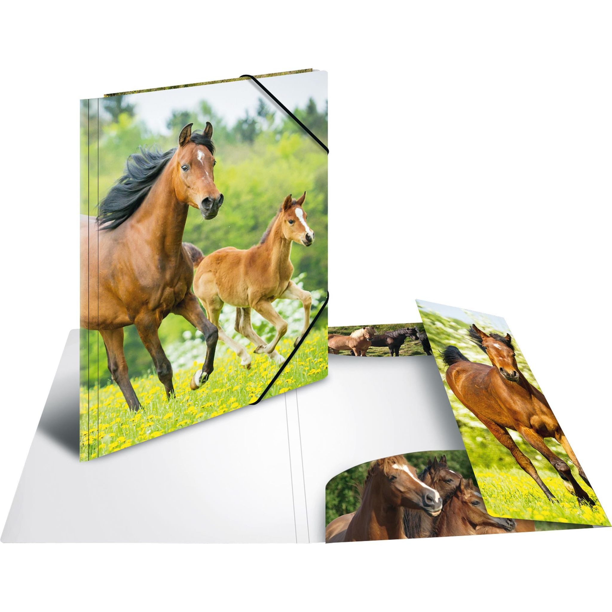 HERMA Organisationsmappe Herma Sammelmappe Eckspanner PP A3 Pferde