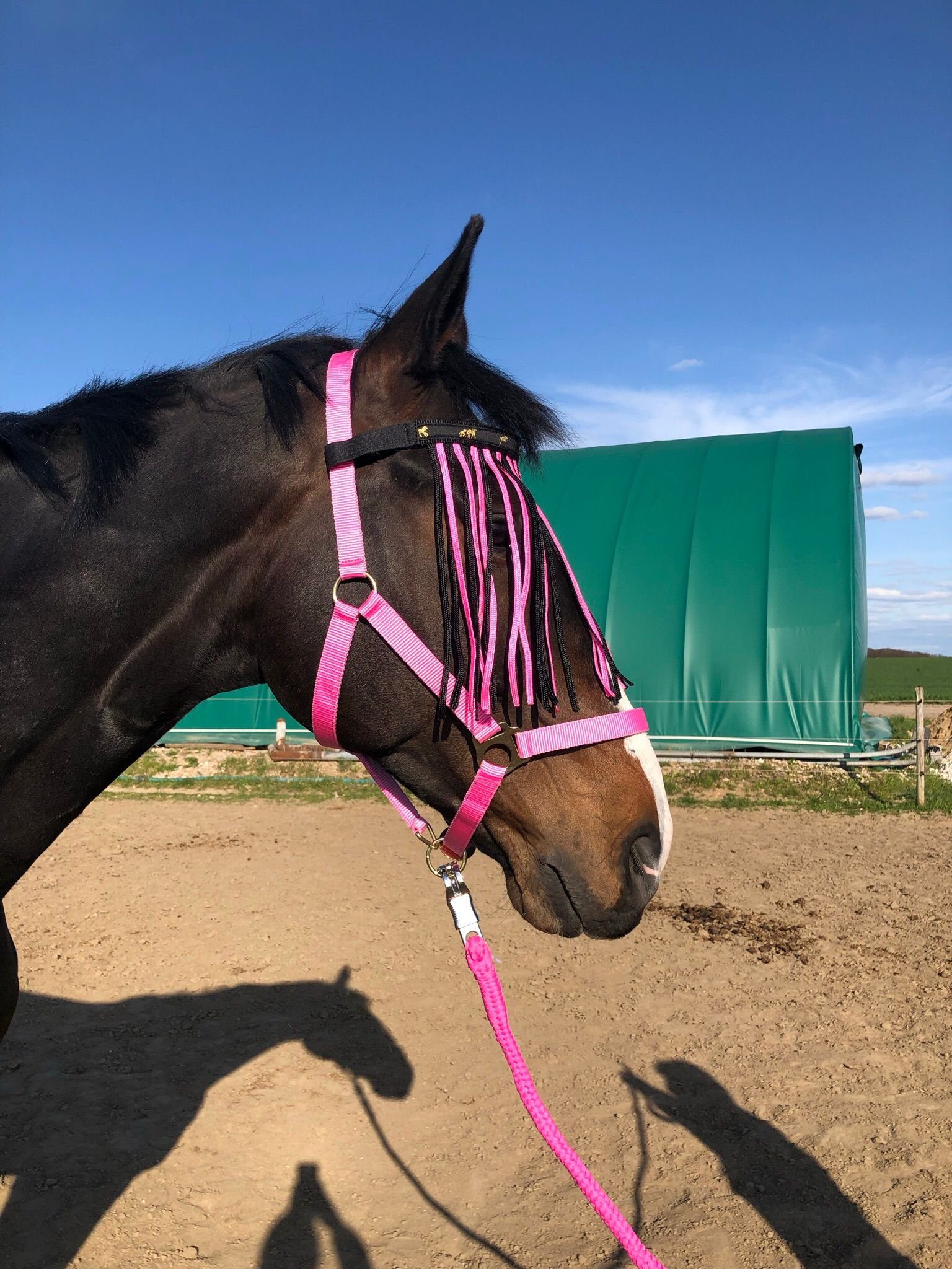 Pferdelinis Маски для мух Fliegenfransen für Pferde, Размер Pony mit Klettverschluss, Insektenschutz