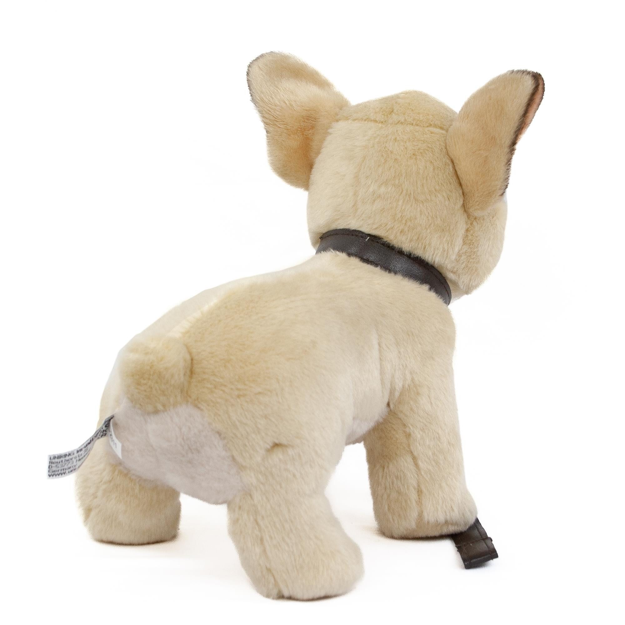 Teddys Rothenburg Kuscheltier Kuscheltier Französische Bulldogge beige mit Leine 23 cm Plüschhund (Stoffhund, Plüschtier, Stofftier, Stoffbulldogge, Plüschbulldogge)