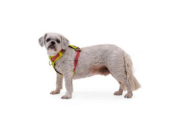 Ruffwear Hunde-Geschirr Hi & Light Harness