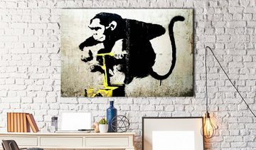 Artgeist Wandbild Monkey Detonator by Banksy