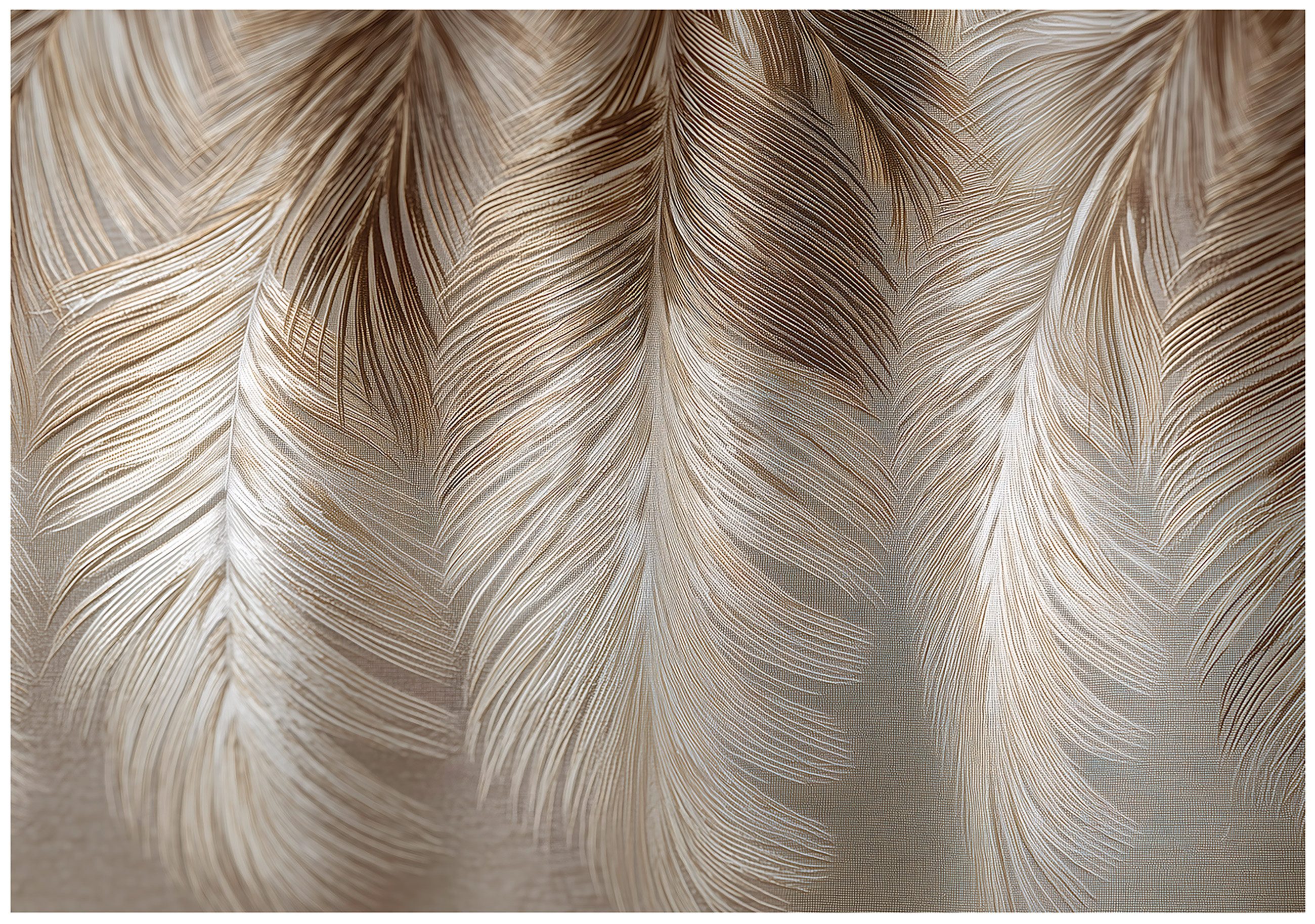 Wallarena Fototapete Federn Weiß Beige Vlies günstig online kaufen