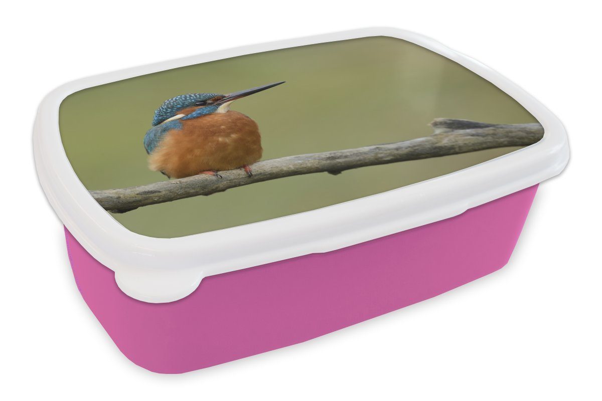 MuchoWow Lunchbox Mädchen, Kinder, Kunststoff, - Erwachsene, - Brotbox Eisvogel Orange rosa Snackbox, (2-tlg), Zweige, für Brotdose Kunststoff