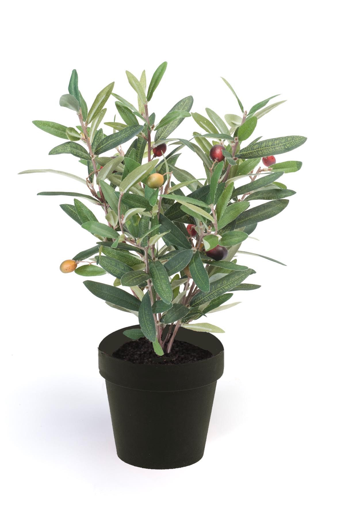 Künstliche Zimmerpflanze Grün, Durchmesser 11 cm, günstig online kaufen