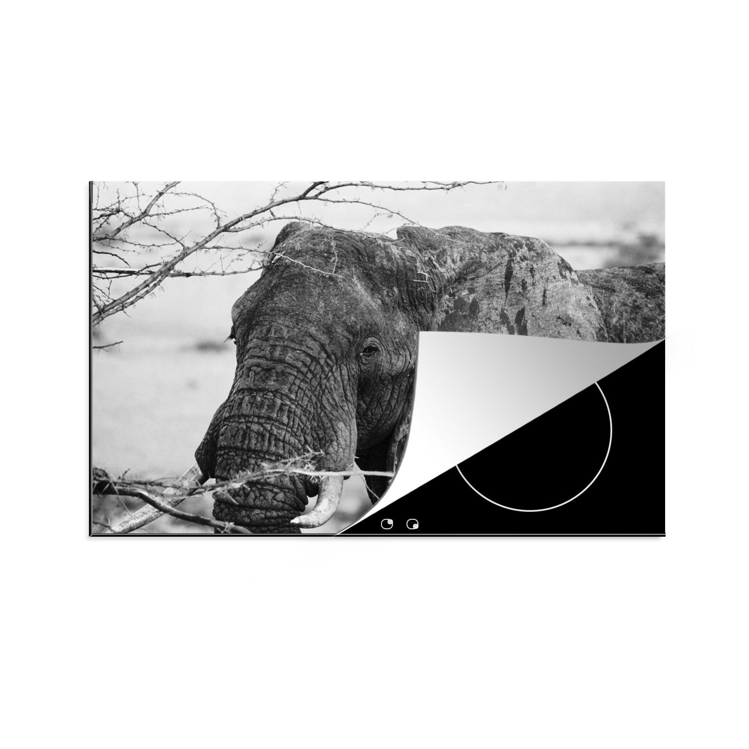 Äste (1 die MuchoWow Elefant für Ceranfeldabdeckung Natur und Herdblende-/Abdeckplatte - Induktionskochfeld - - weiß, cm, küche, Tiere tlg), 81x52 Vinyl, - Schutz Schwarz