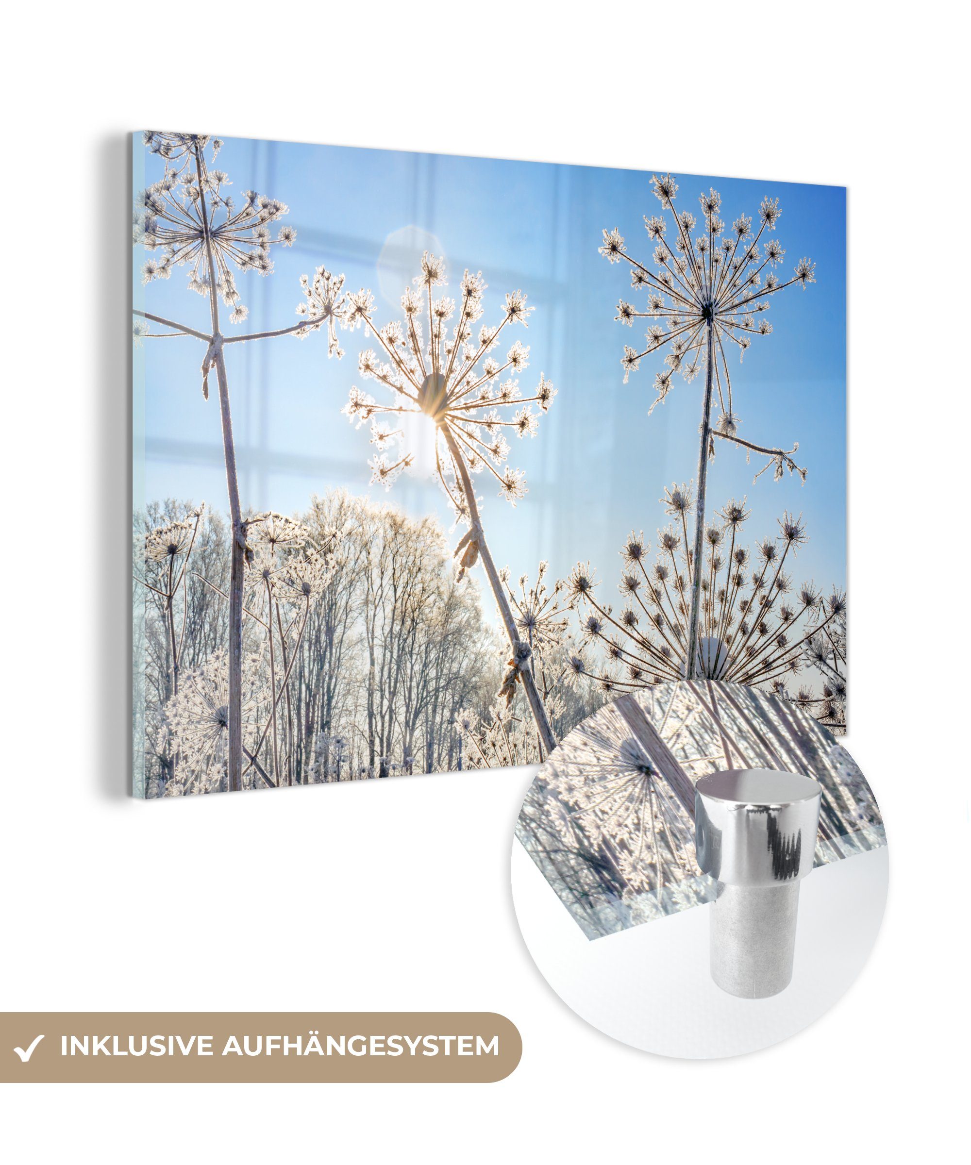 MuchoWow Acrylglasbild Pflanzen - Schnee - Stilleben, (1 St), Glasbilder - Bilder auf Glas Wandbild - Foto auf Glas - Wanddekoration