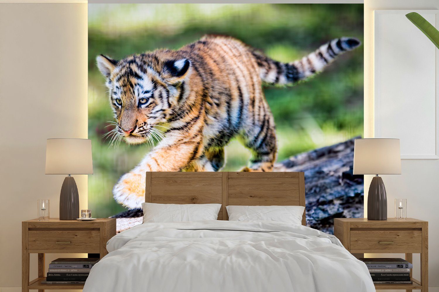 Tiger Matt, (4 Fototapete für Schlafzimmer MuchoWow Vliestapete bedruckt, Wohnzimmer - Baum, St), Junge - Fototapete Küche,