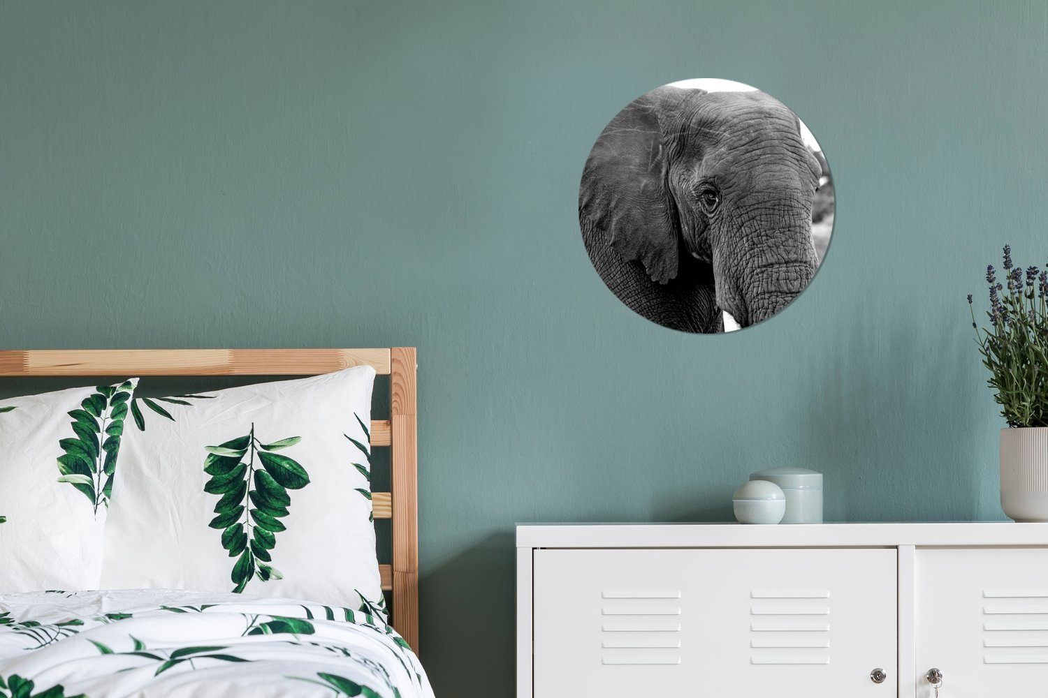 Wandbild, Rundes Natur, Wohnzimmer, - MuchoWow 30x30 (1 St), cm Wanddekoration - Kreis - Forex, Gemälde Weiß Schwarz Tiere - Elefant