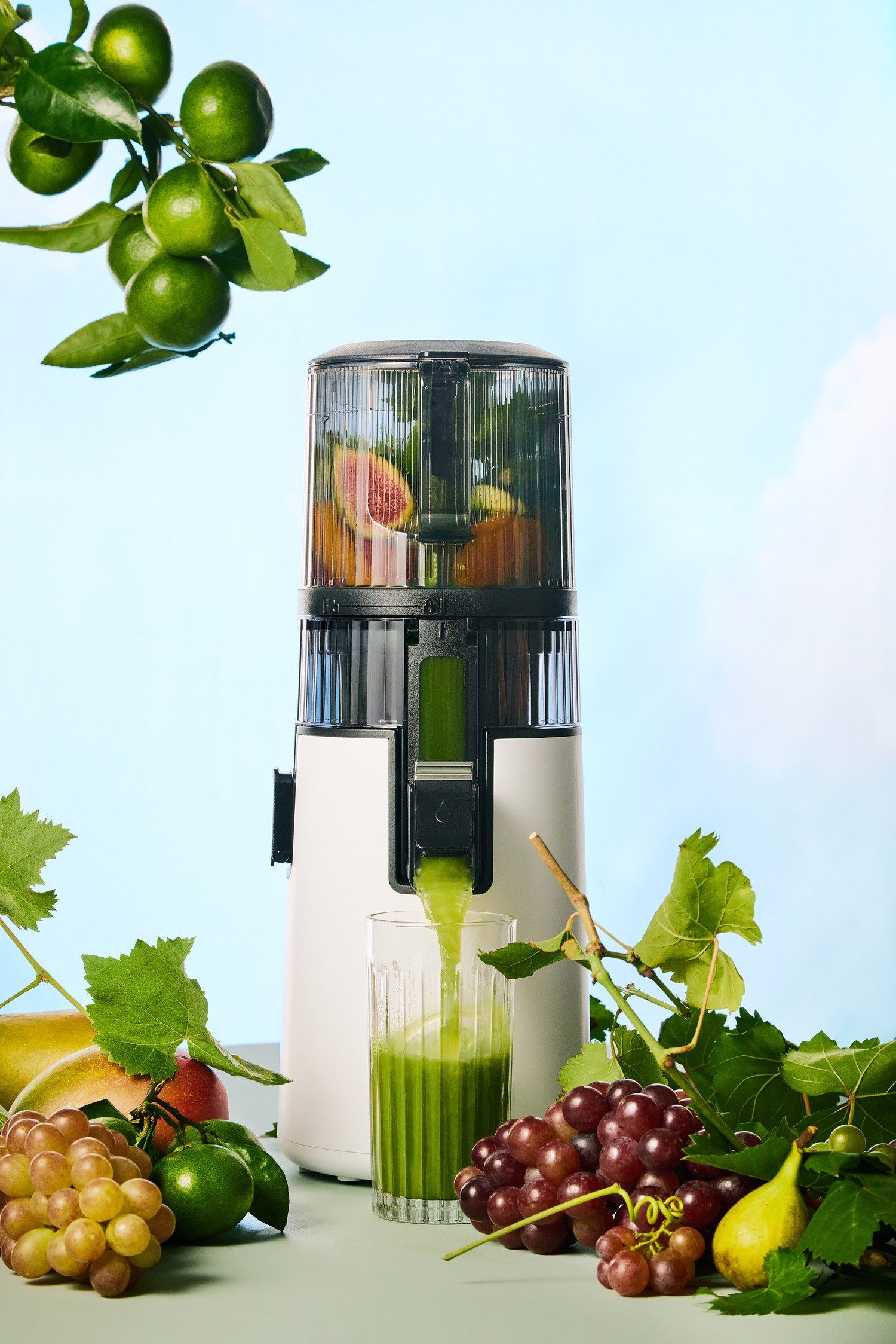 Hurom Entsafter Hurom Slow Juicer H70FT