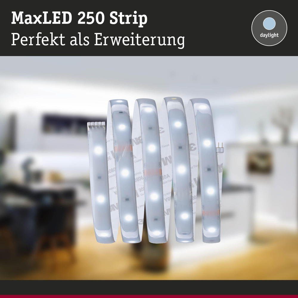 Paulmann LED Stripe LED MaxLED Erweiterung in IP44 1-flammig, Strip Silber Streifen 240lm 6500K LED 4W 1000mm