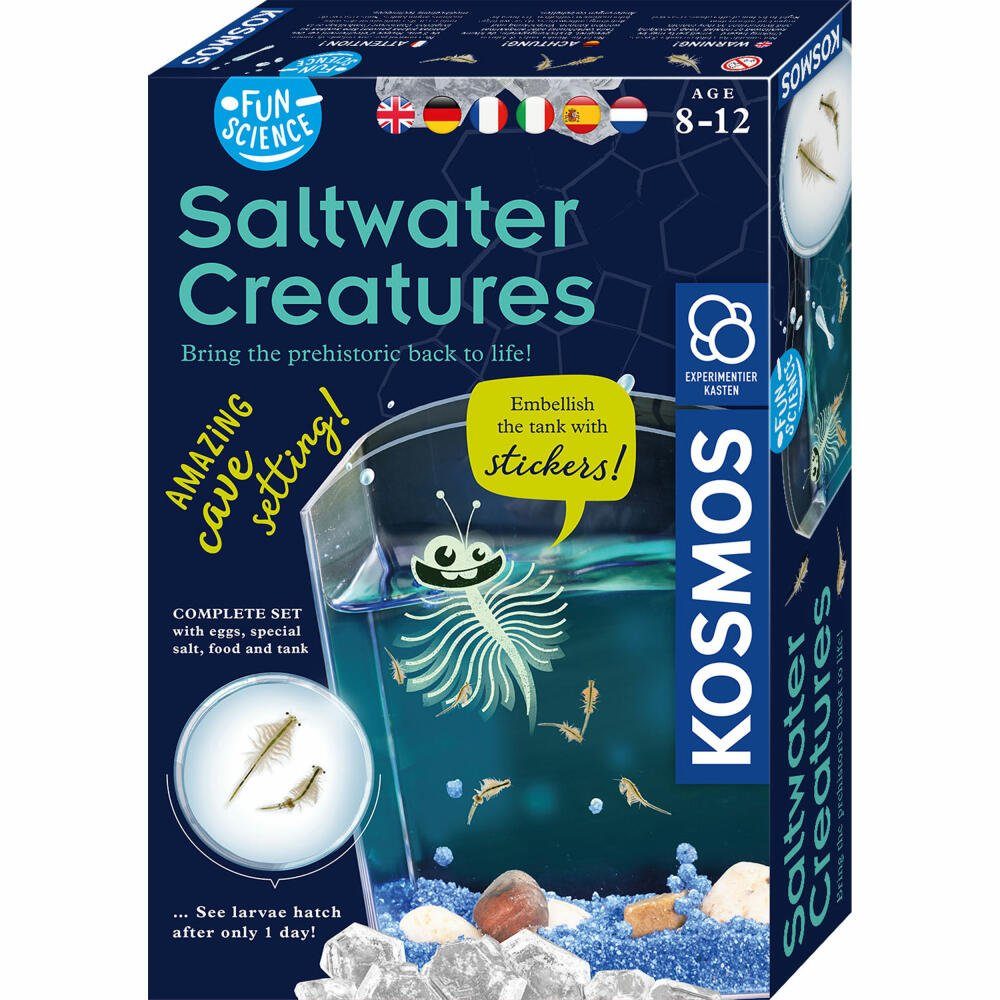 Kreativset Saltwater Kosmos Wuselnde Salzkrebse Creatures