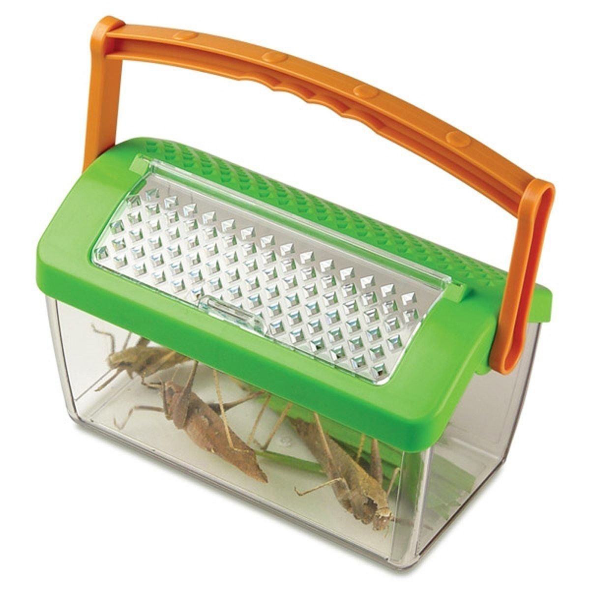 Edu-Toys Experimentierkasten Insektenhaus mit klappbarem Deckel und Luftloechern, (1-tlg., Stabiles kleines Insektenhaus mit aufklappbarem Deckel mit Luftlöchern), Stabiles kleines Insektenhaus mit aufklappbarem Deckel mit Luftlöchern