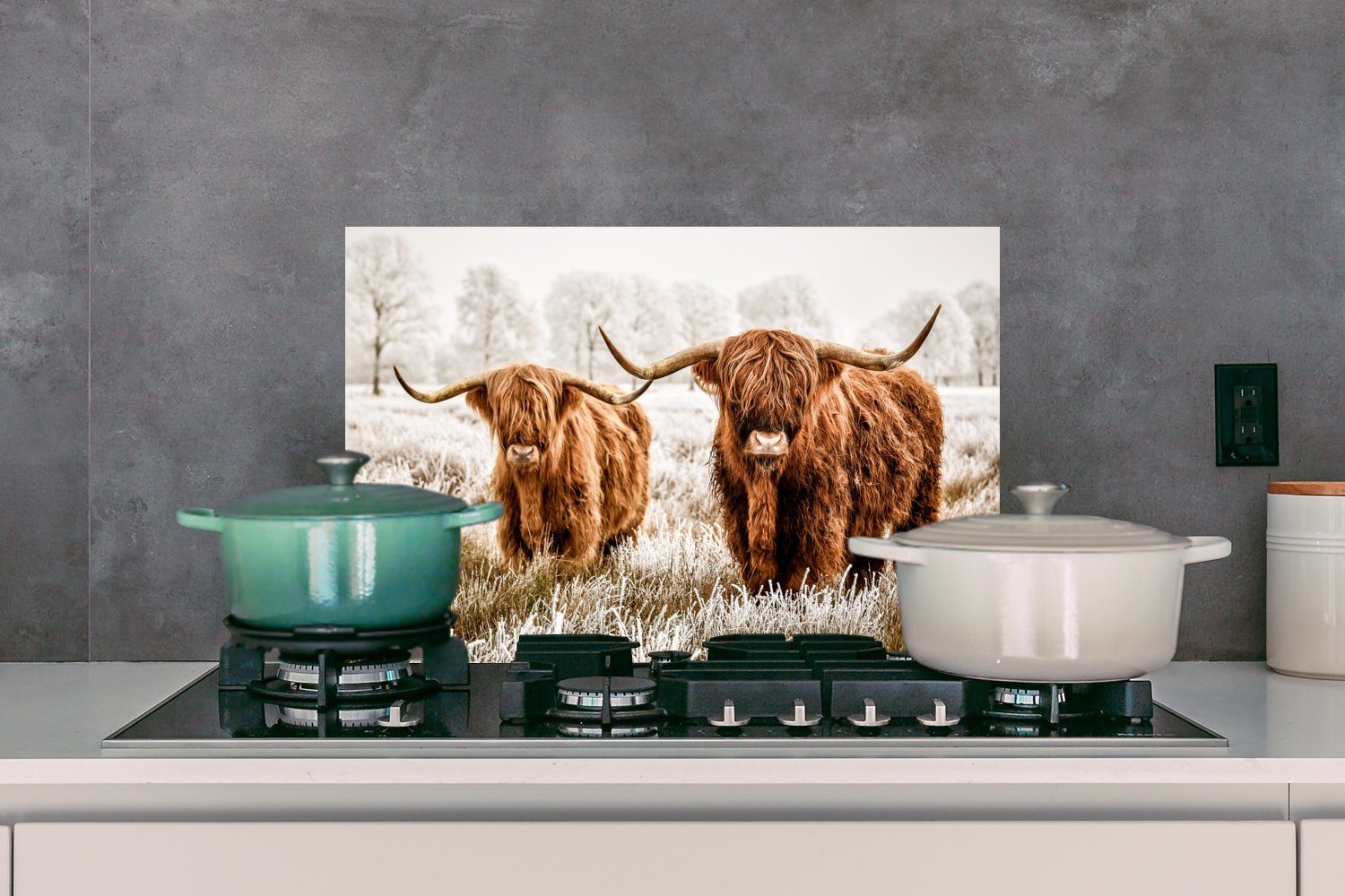 Küchenrückwand MuchoWow - Wandschutz, Temperaturbeständig Highlander Schottischer küchen aus Tiere, (1-tlg), Kuh 60x40 Herdblende cm, -