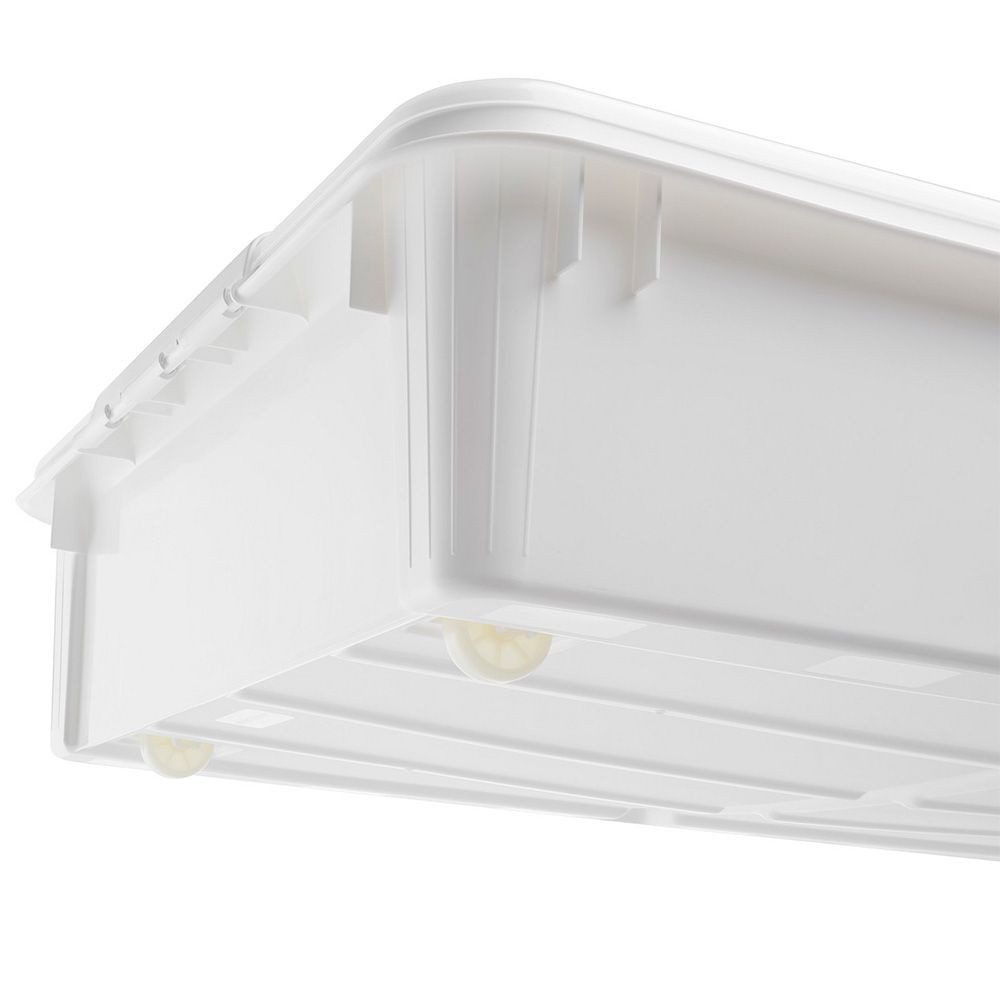 Orthex Aufbewahrungsbox SmartStore Bettroller 60L mit Deckel und Rollen, tr günstig online kaufen