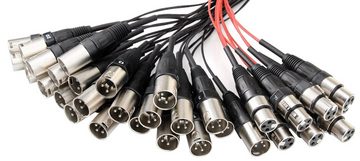 Pronomic Stage EMC 24/8 XLR Multicore 30 Meter Audio-Kabel, (3000 cm), 32 Kanäle (24 In, 8 Returns), aufgesplisste Peitsche