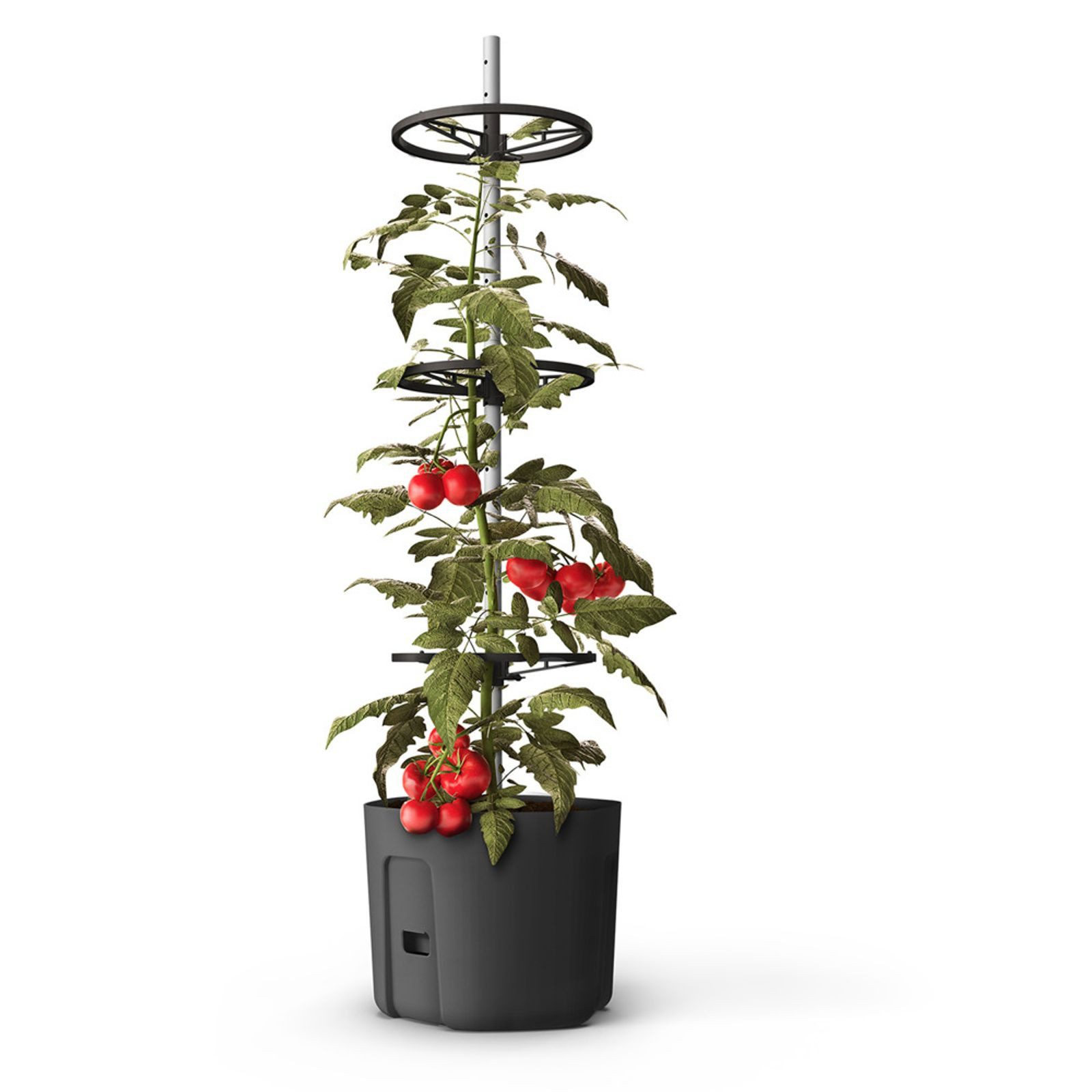 BURI Pflanzkübel Tomatenpflanztopf mit Rankhilfe Tomatentopf Blumentopf Pflanztopf