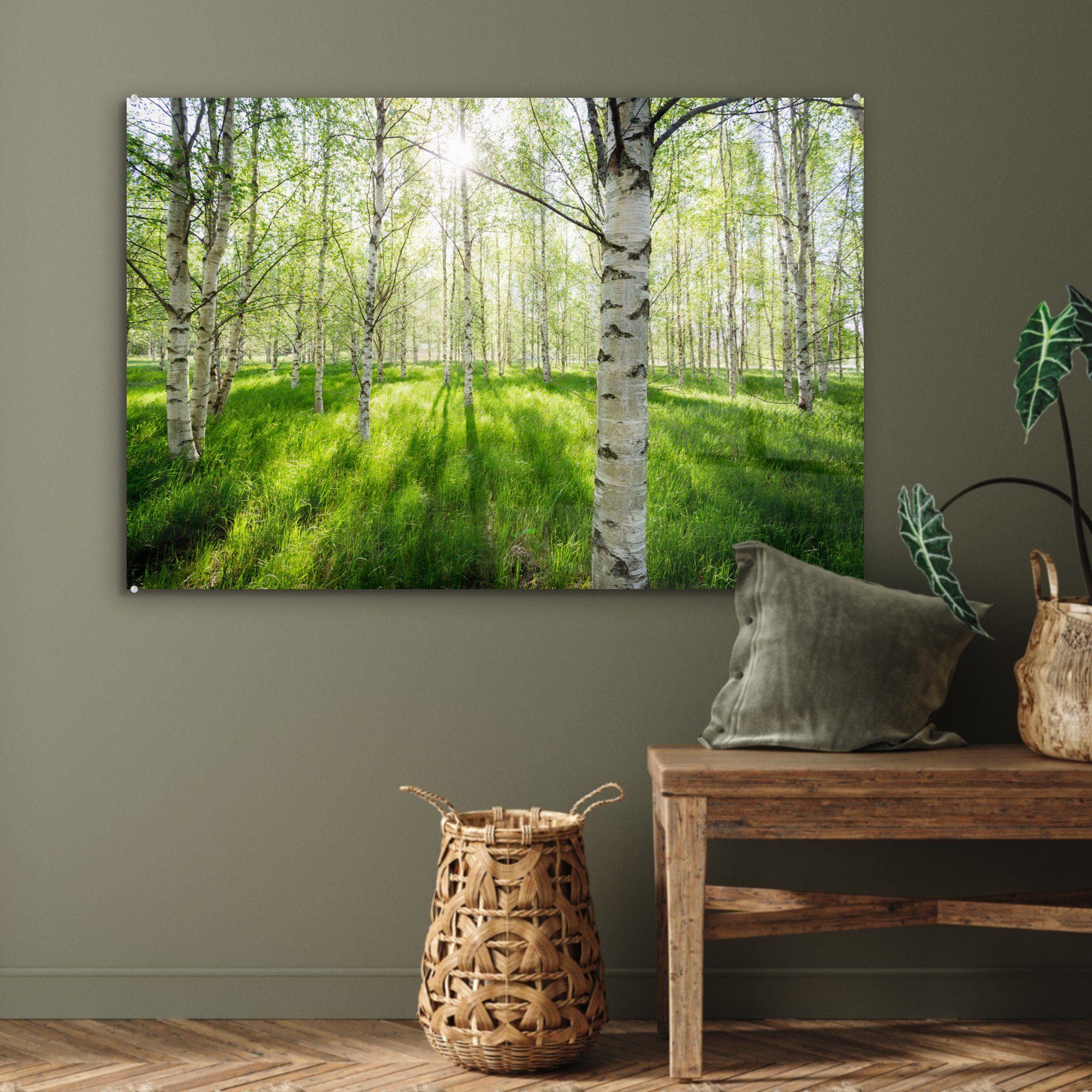 MuchoWow (1 St), Acrylglasbilder & Schlafzimmer - Acrylglasbild Frühling, - Wald Birke Wohnzimmer