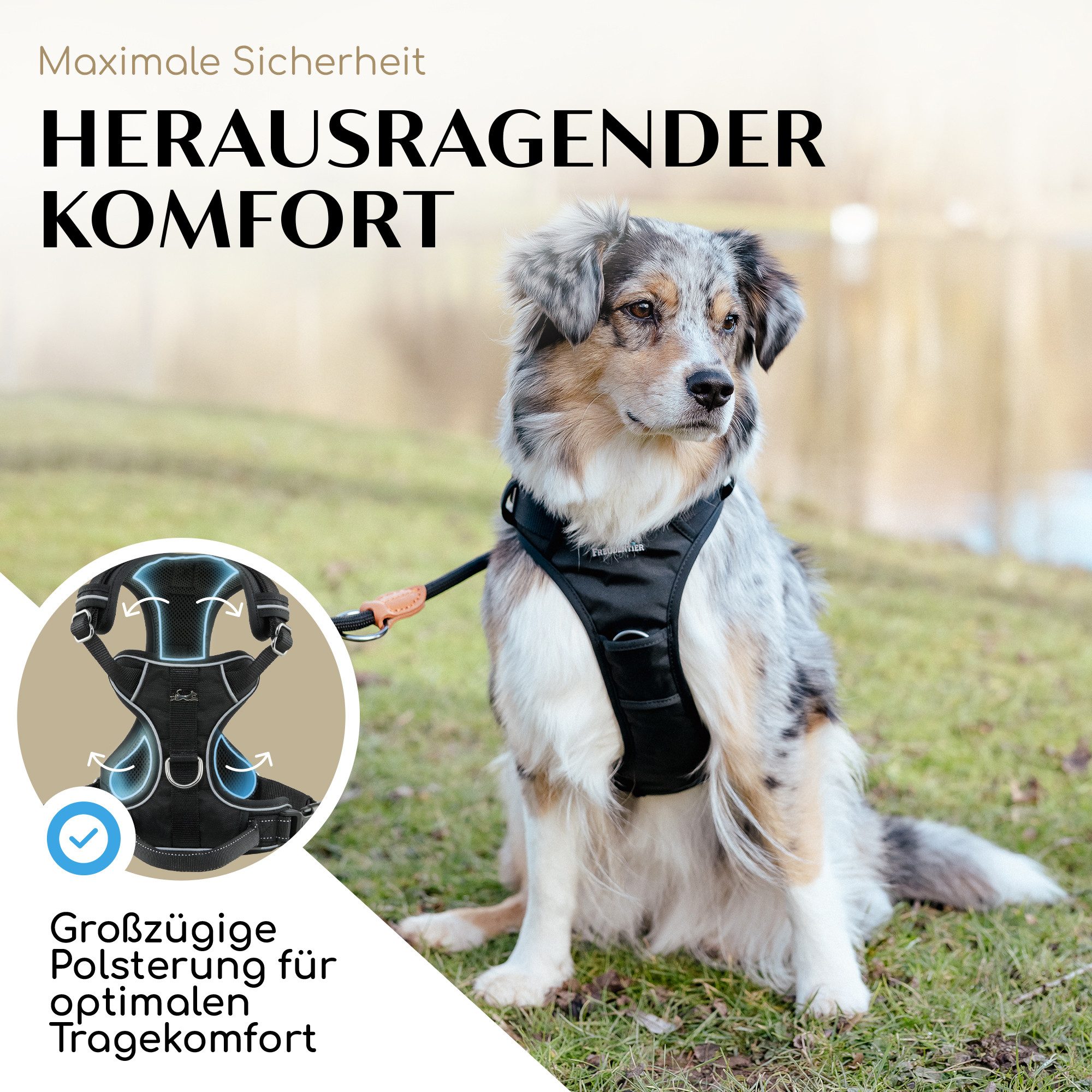 Freudentier Hunde-Geschirr mit Mesh-Polsterung - Hundegeschirr kleine, mittlere & grosse Hunde