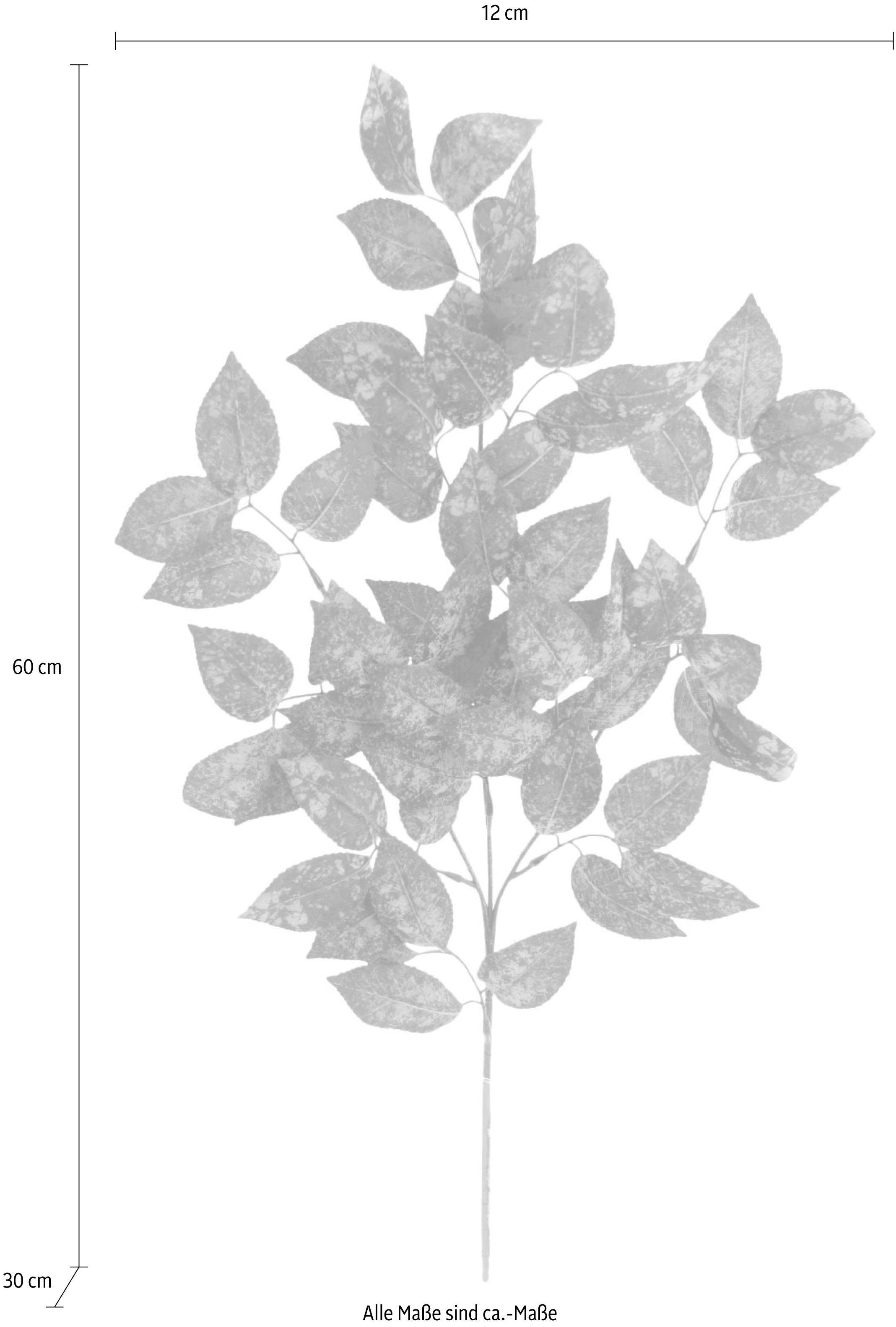 Kunstpflanze Salalblatt, I.GE.A., Höhe cm 60