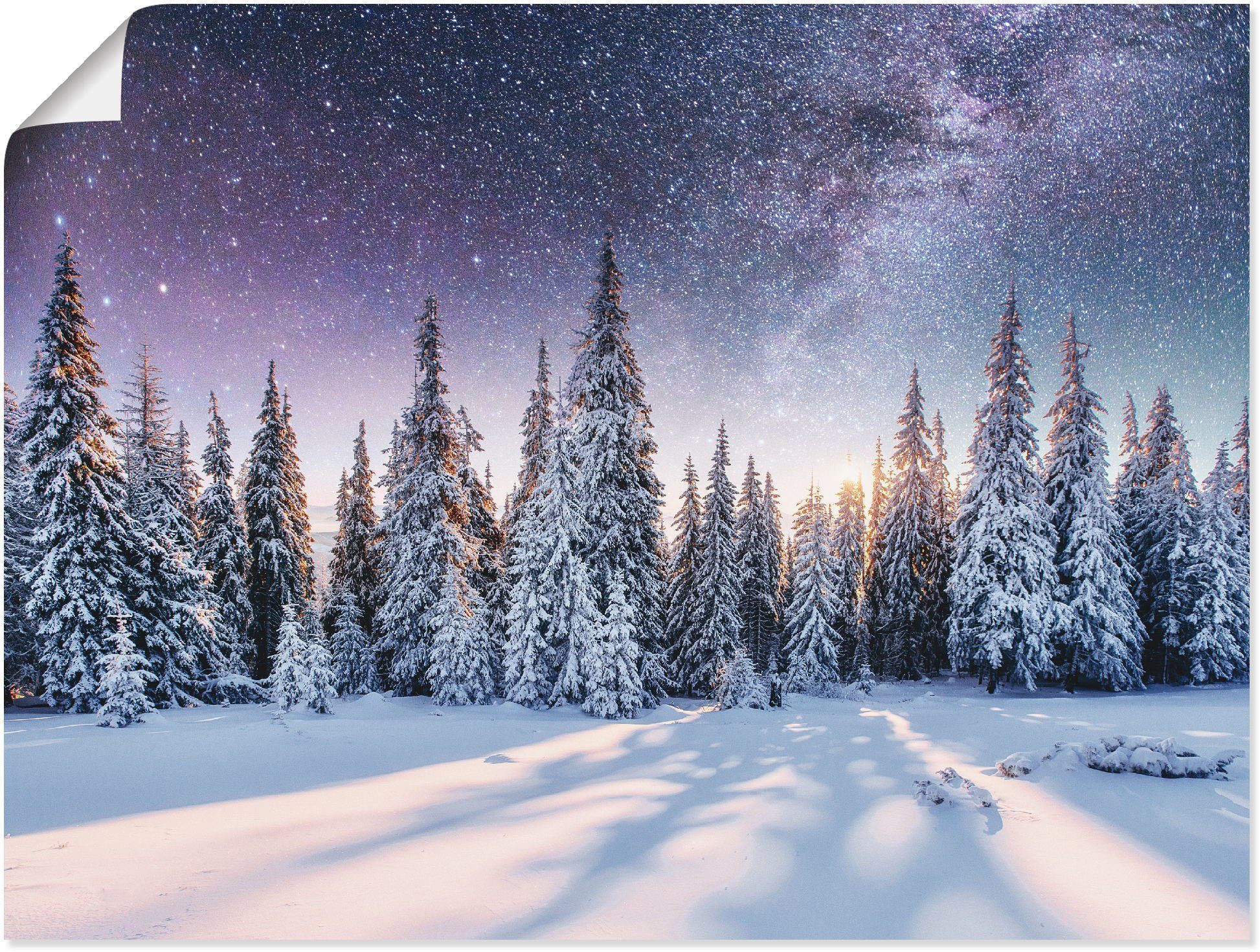 Artland Wandbild Tannenwald im Schnee vorm Sternenhimmel, Berge & Alpenbilder (1 St), als Alubild, Leinwandbild, Wandaufkleber oder Poster in versch. Größen