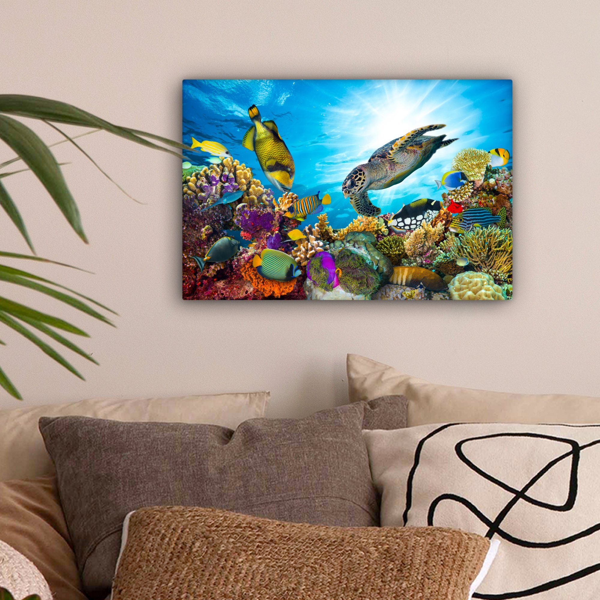 OneMillionCanvasses® Leinwandbild Schildkröte - Meer - günstig online kaufen