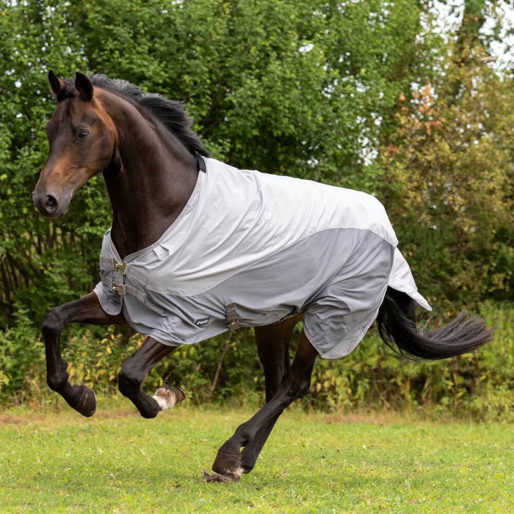 BUSSE Pferde-Regendecke Busse Outdoordecke Rainfly von Busse