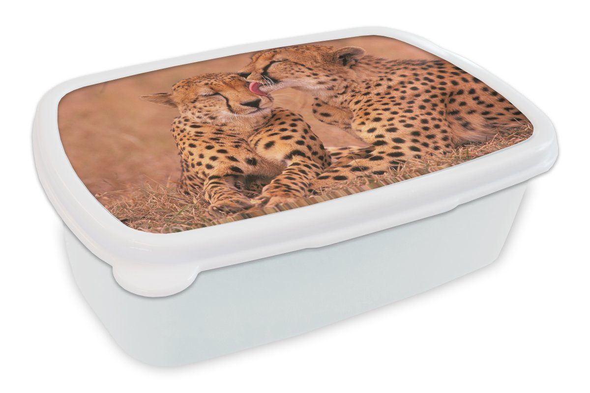 MuchoWow Lunchbox Baby-Geparden, Kunststoff, (2-tlg), Brotbox für Kinder und Erwachsene, Brotdose, für Jungs und Mädchen weiß