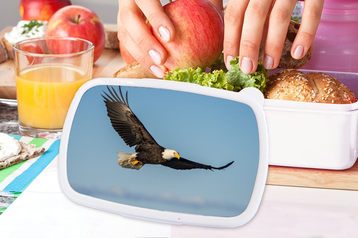 und MuchoWow Lunchbox Raubvögel, Kinder Adler Jungs für Vogel Kunststoff, und weiß - - Brotbox Mädchen (2-tlg), Erwachsene, Brotdose, für