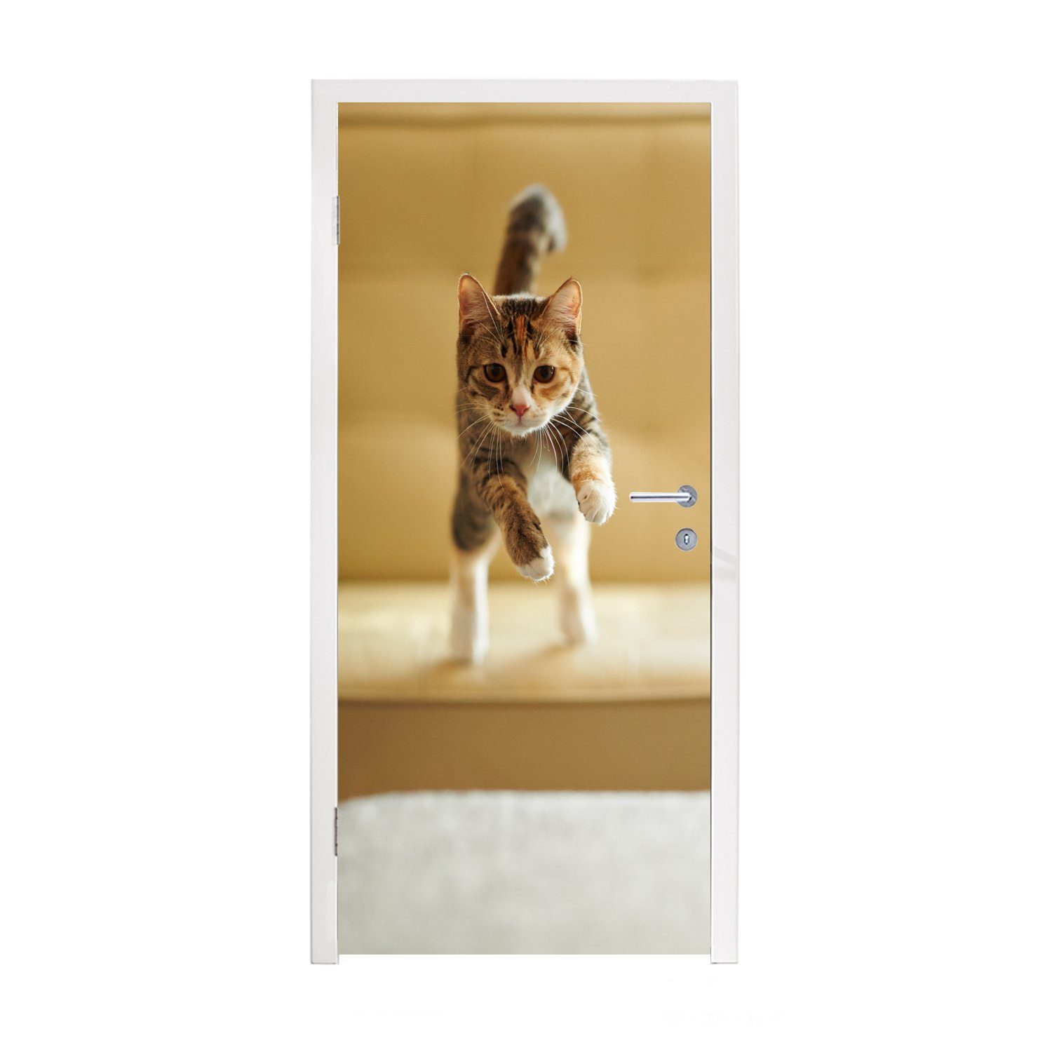 MuchoWow Türtapete Katze - Frühling - Stuhl, Matt, bedruckt, (1 St), Fototapete für Tür, Türaufkleber, 75x205 cm
