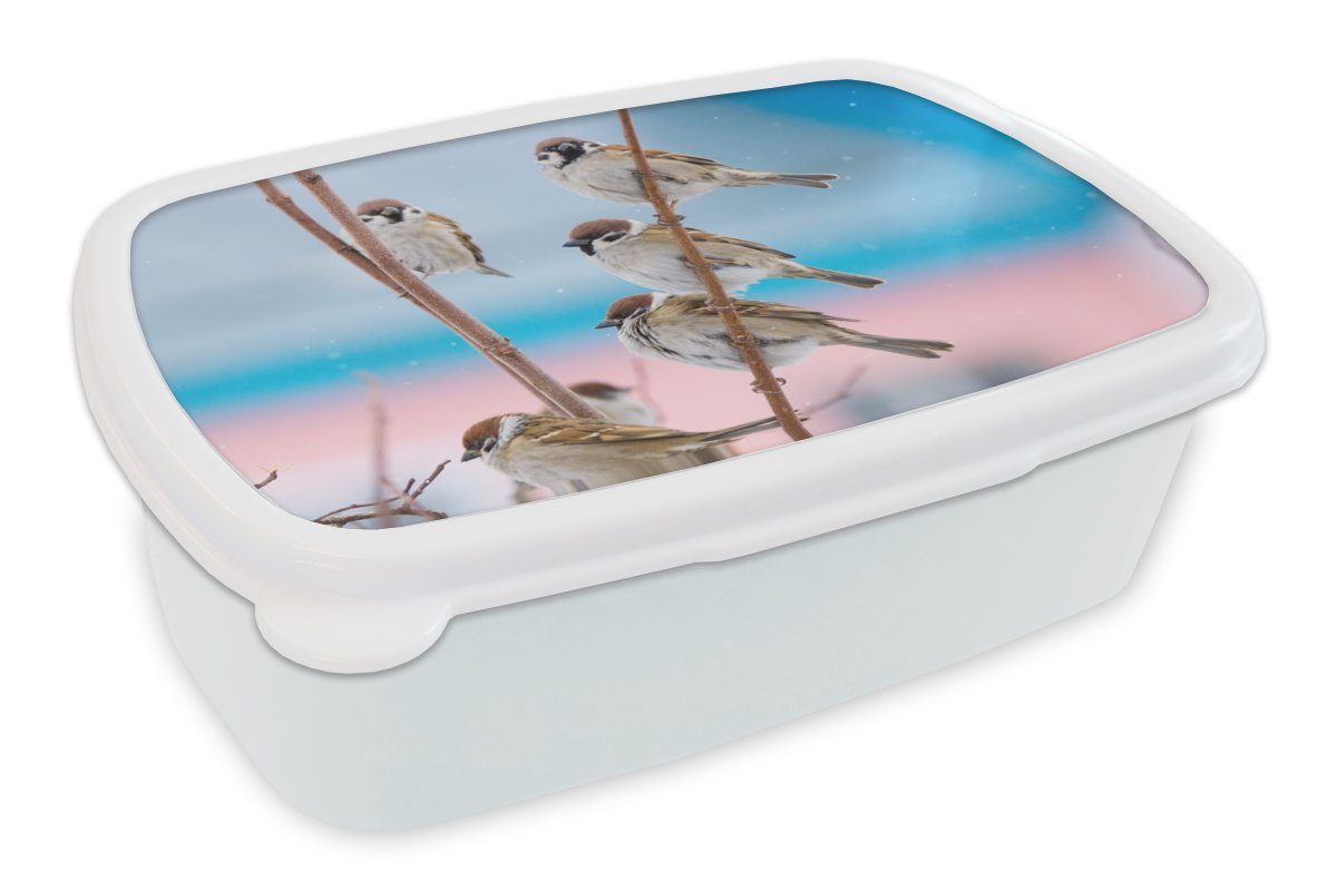 MuchoWow Lunchbox Vögel - Spatz - Tiere - Äste, Kunststoff, (2-tlg), Brotbox für Kinder und Erwachsene, Brotdose, für Jungs und Mädchen weiß