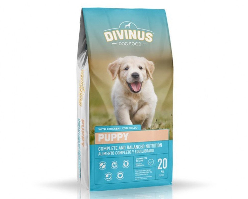 FORTISLINE Hundematratze Divinus Puppy für Welpen 20kg