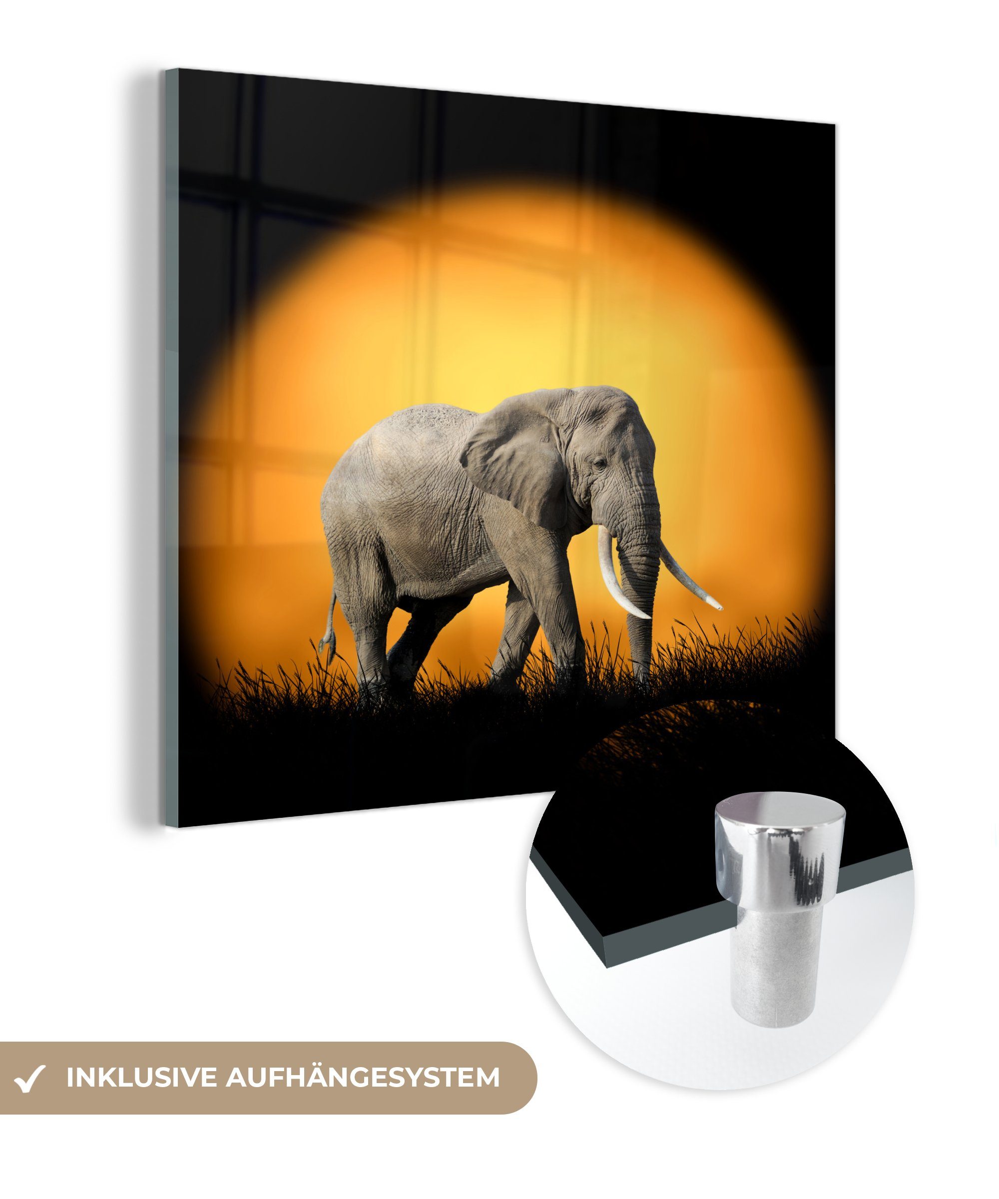 Wanddekoration - auf Glas - Acrylglasbild (1 Bilder Foto Glas Sonne Zähne, Wandbild MuchoWow St), - - Elefant - Glasbilder auf