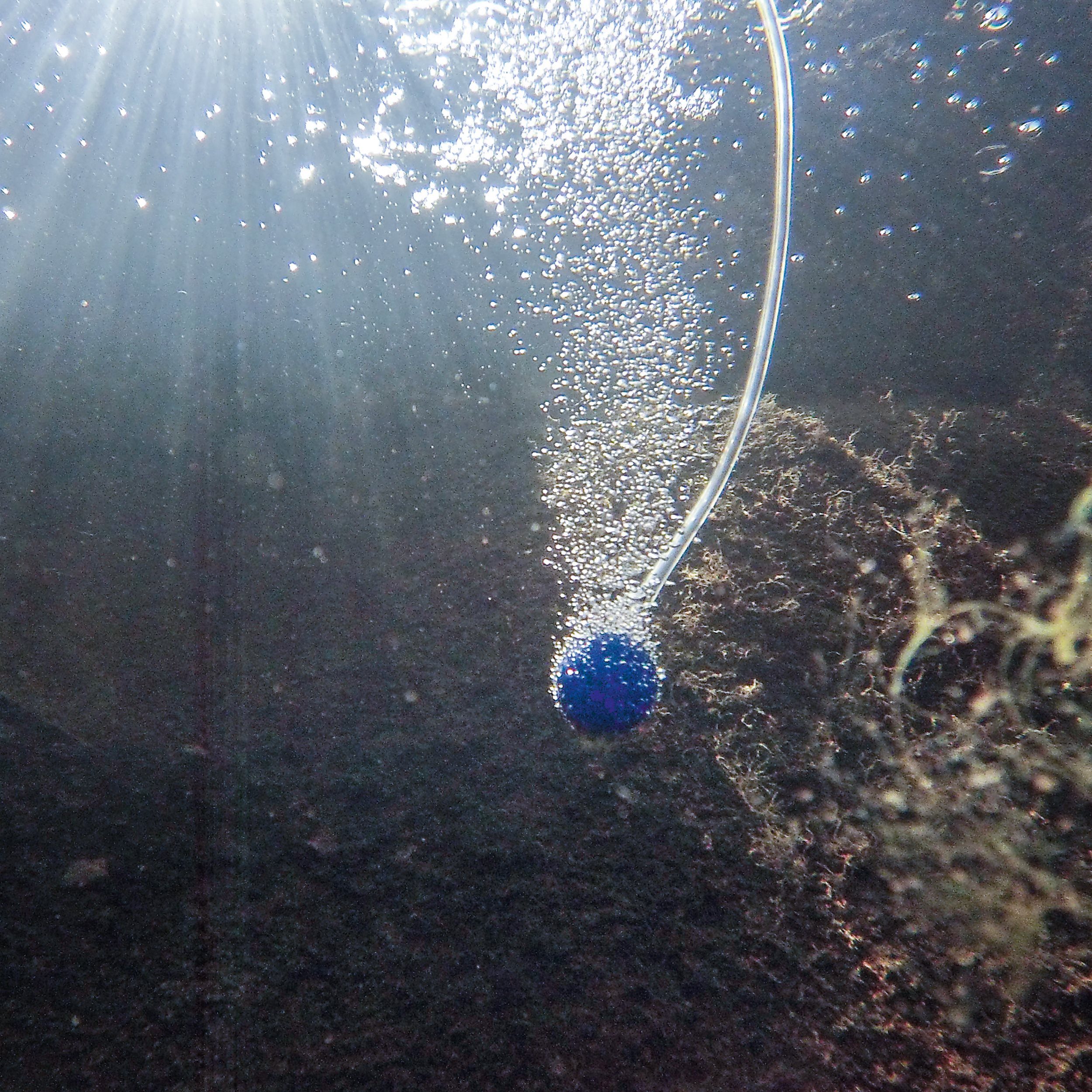 esotec Teichbelüfter Floating Air schwimmende Seerose Belüfterpumpe, 2 Ausgänge 101875, 120 l/h, (Komplettset)