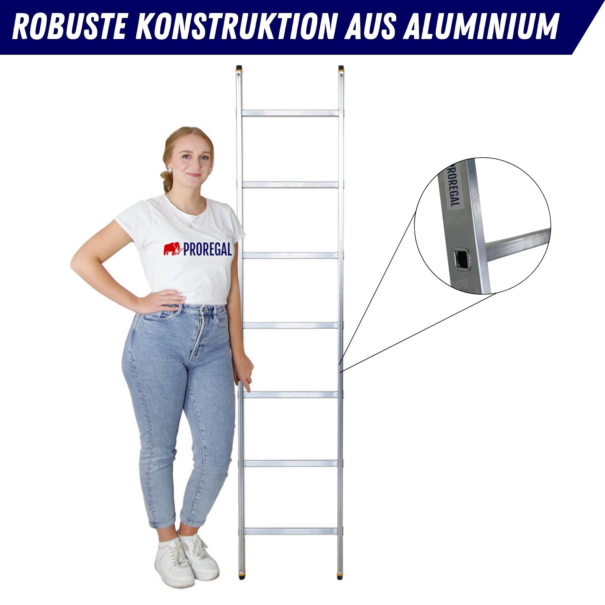 PROREGAL® Extension Ladder, Rung Ladder ATLAS with 7 rungs, 2.95m working height