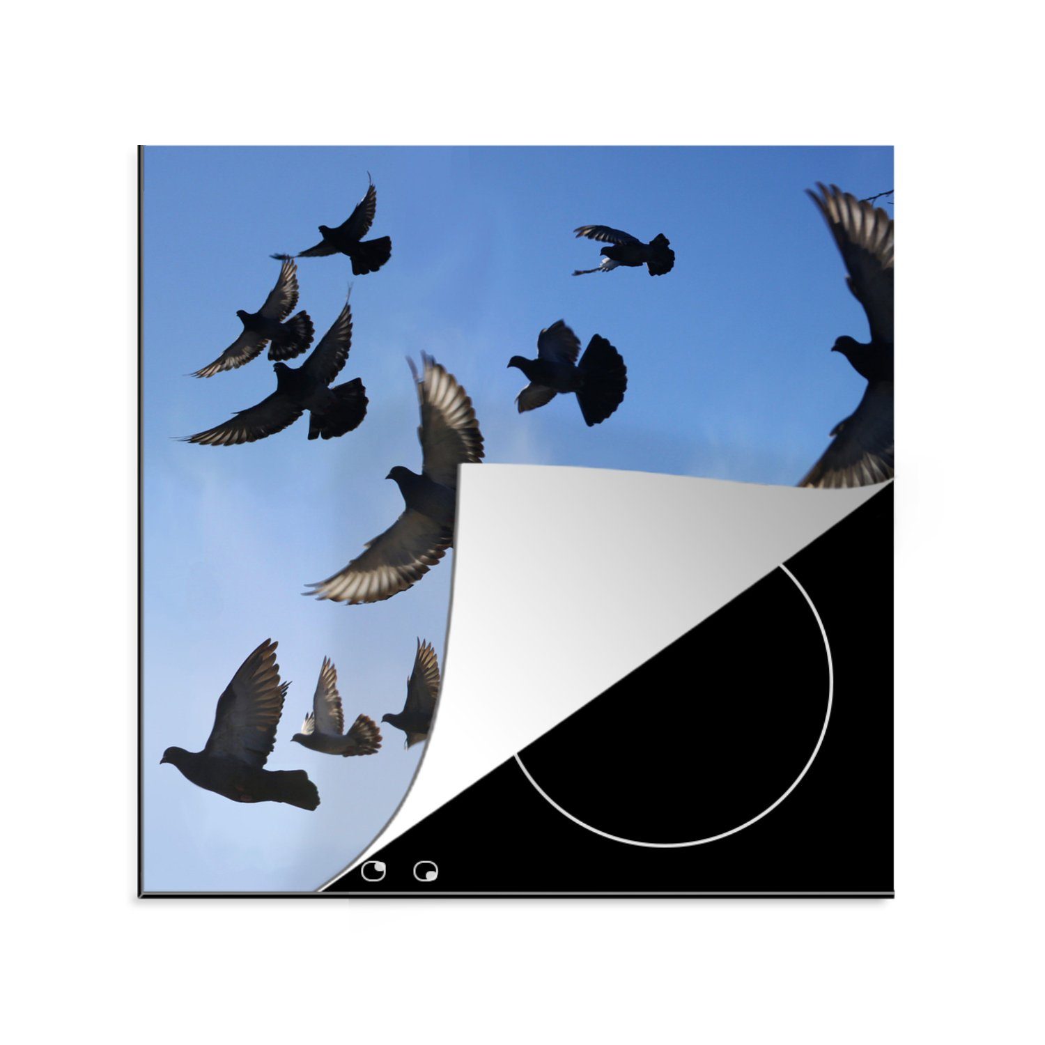 MuchoWow Herdblende-/Abdeckplatte Tauben Ceranfeldabdeckung, Arbeitsplatte küche tlg), Himmel, - Vinyl, für 78x78 (1 - cm, Blau