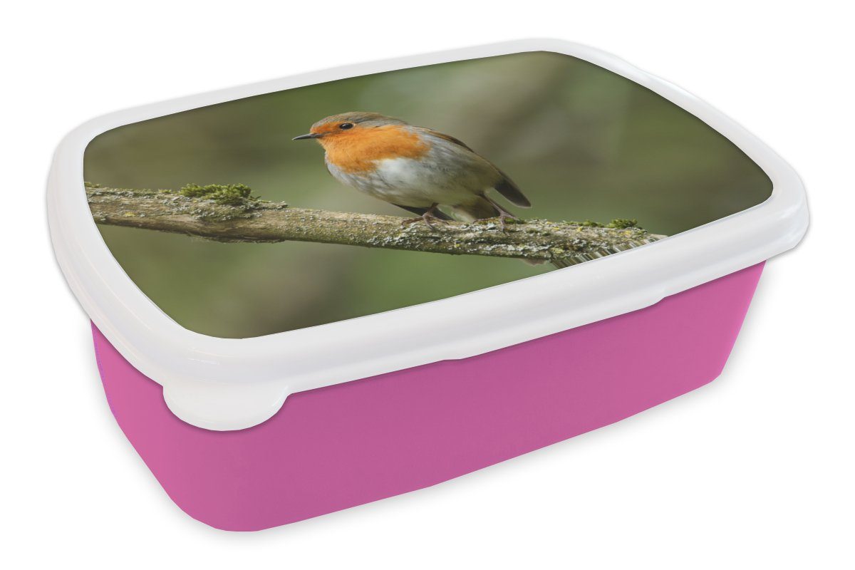 - Lunchbox Brotdose rosa Vogel Snackbox, MuchoWow Kinder, Kunststoff, Zweig Pflanzen, - - Brotbox (2-tlg), für Kunststoff Erwachsene, Rotkehlchen Mädchen,