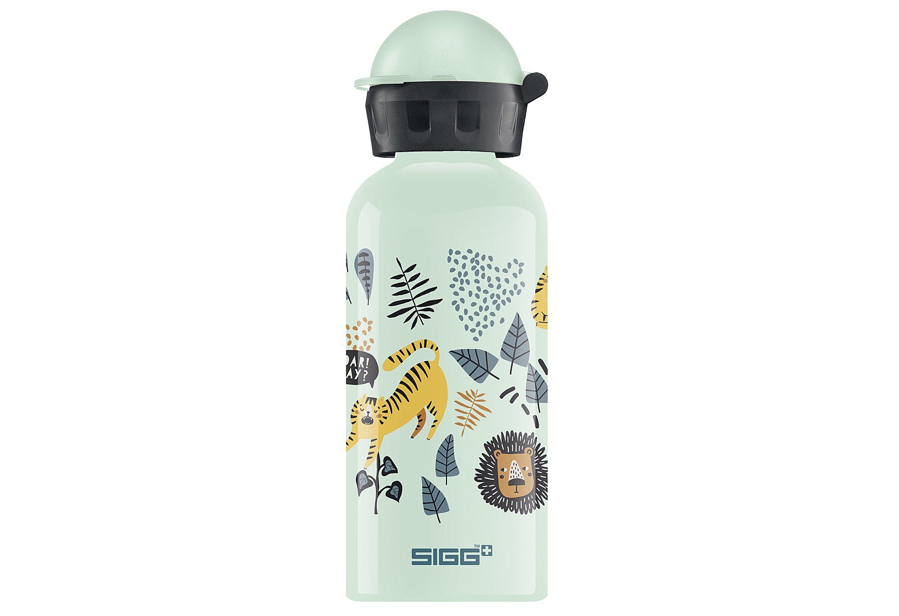 Sigg Trinkflasche