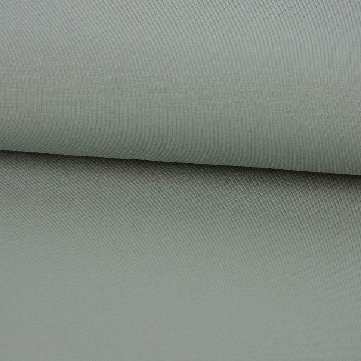 SCHÖNER LEBEN. Stoff Baumwolljersey Meterware Jersey Bio Organic uni rauchmint 145cm