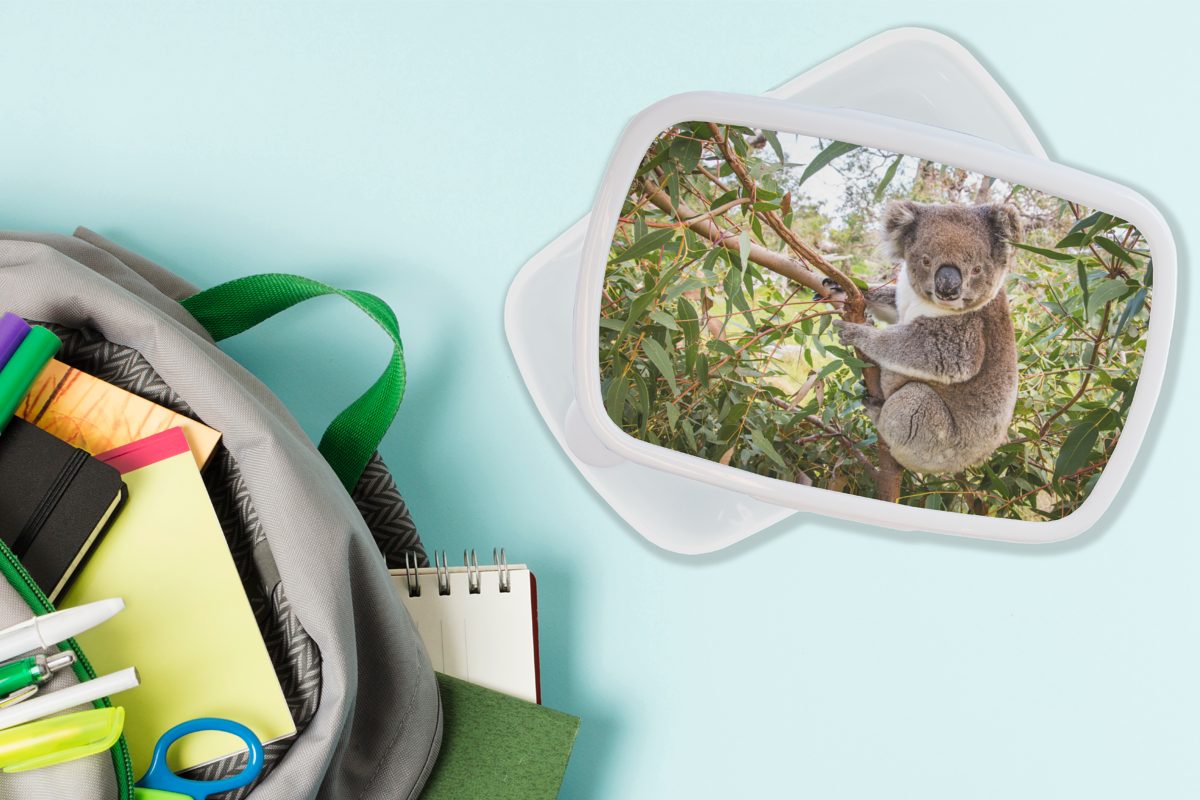 Kunststoff, Brotdose, und (2-tlg), weiß Jungen Mädchen, Blätter Mädchen MuchoWow Koala Kinder Jungs und - Lunchbox für - Kinder Brotbox - - für Erwachsene,