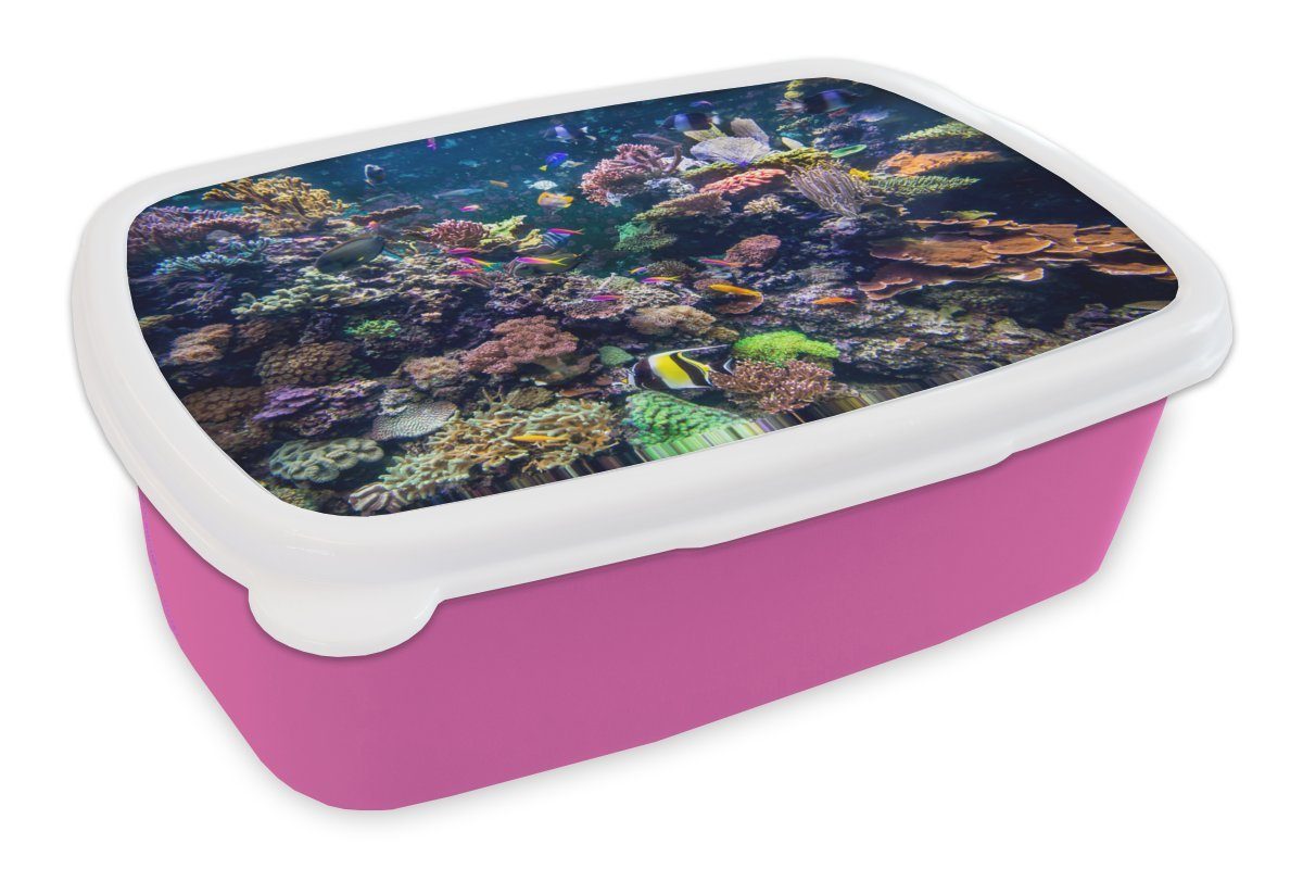 MuchoWow Lunchbox Bunte Fische schwimmen zwischen all den Korallen, Kunststoff, (2-tlg), Brotbox für Erwachsene, Brotdose Kinder, Snackbox, Mädchen, Kunststoff rosa