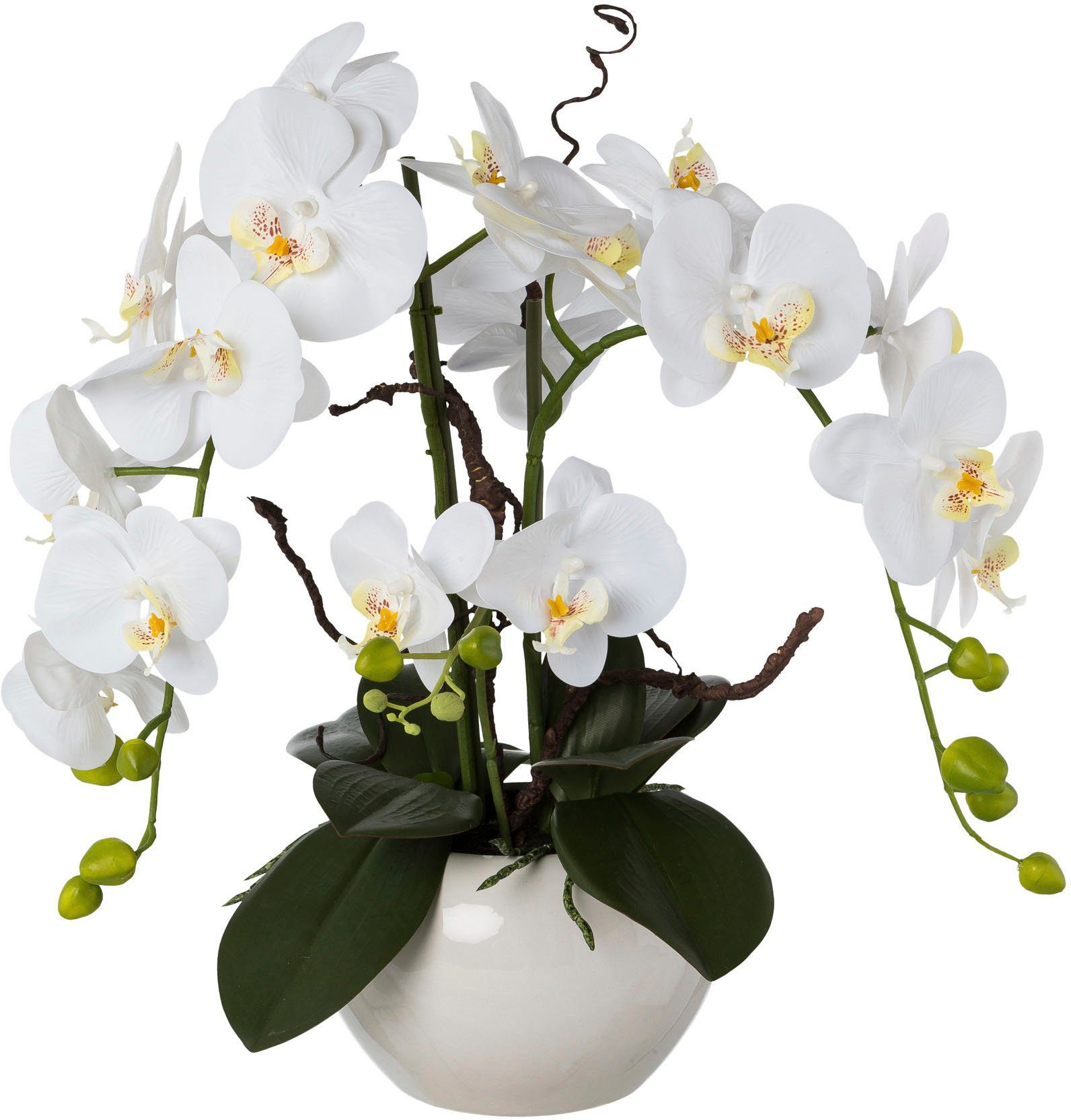 wirkende Höhe 55 Kunstorchidee Keramiktopf, green, Creativ echt im cm, Deko-Orchidee Täuschend Phalaenopsis,