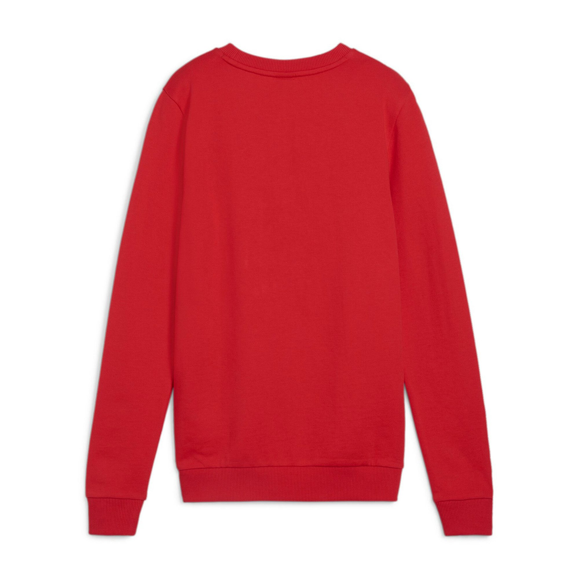 PUMA Fleecepullover Puma Damen Pullover teamGOAL günstig online kaufen
