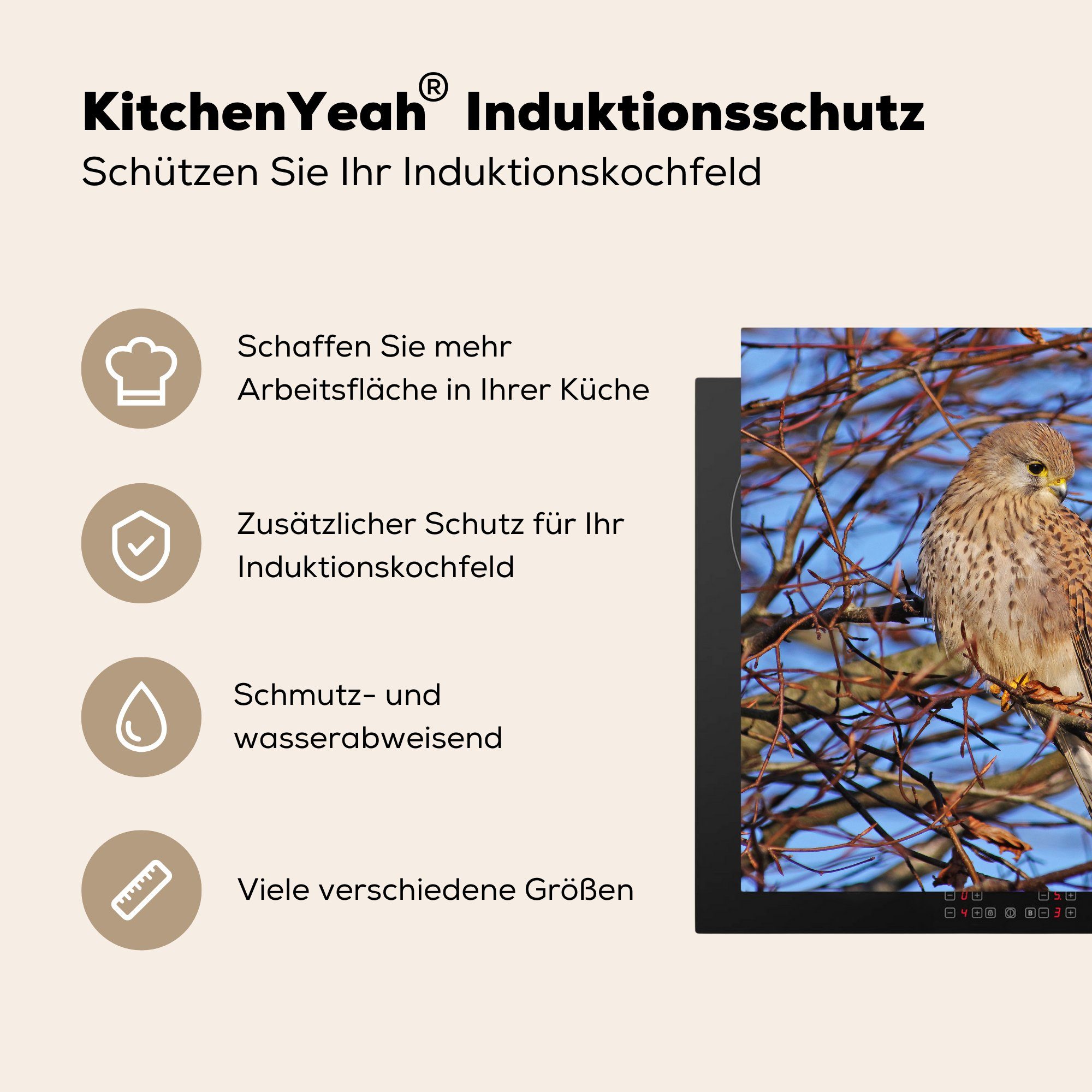 (1 Arbeitsplatte küche Baum, MuchoWow Kleiber 78x78 Vinyl, für Herdblende-/Abdeckplatte Ceranfeldabdeckung, Zweig - tlg), - cm,