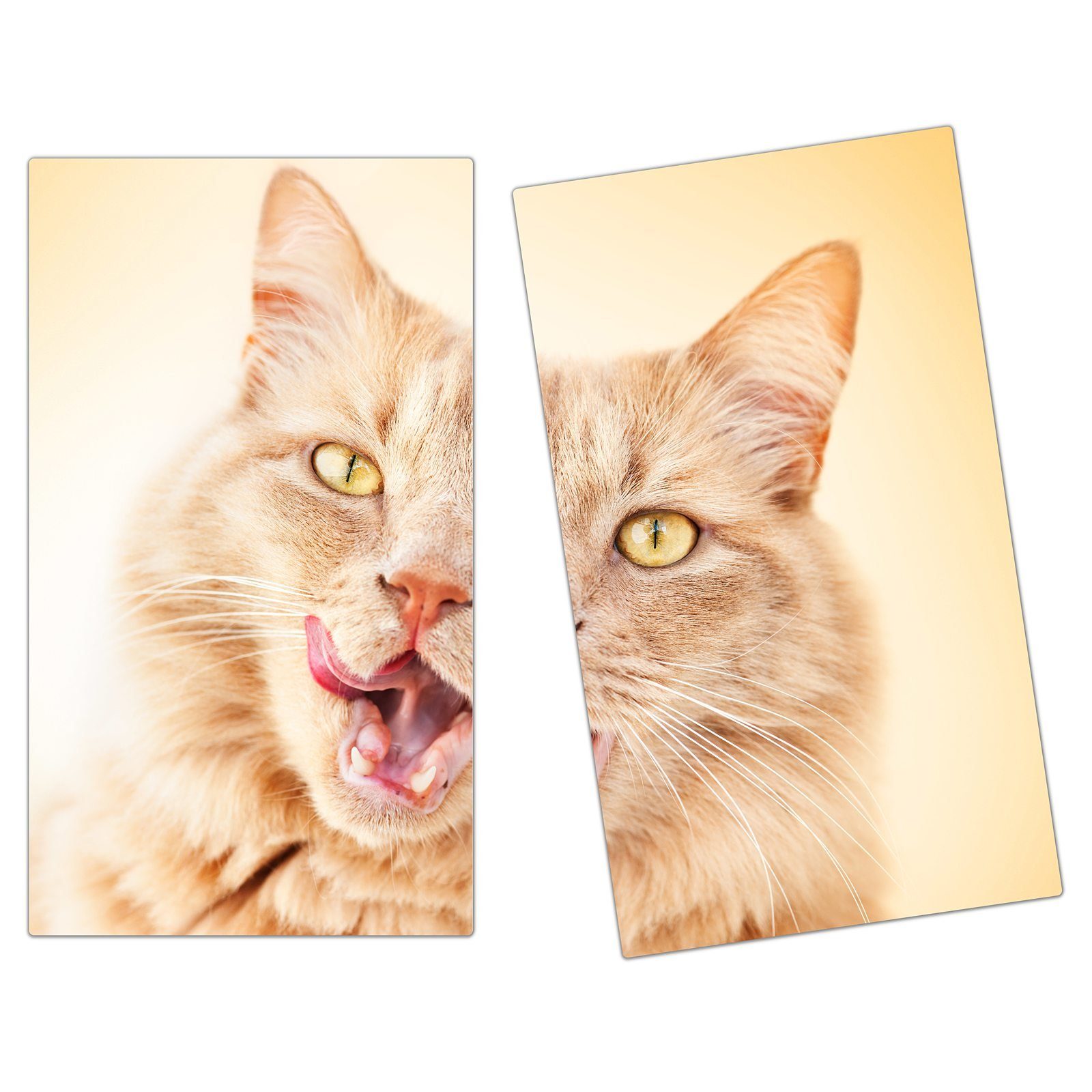 Primedeco Herd-Abdeckplatte Herdabdeckplatte Spritzschutz aus Glas Katze leckt seine Hiebe, Glas, (2 tlg)