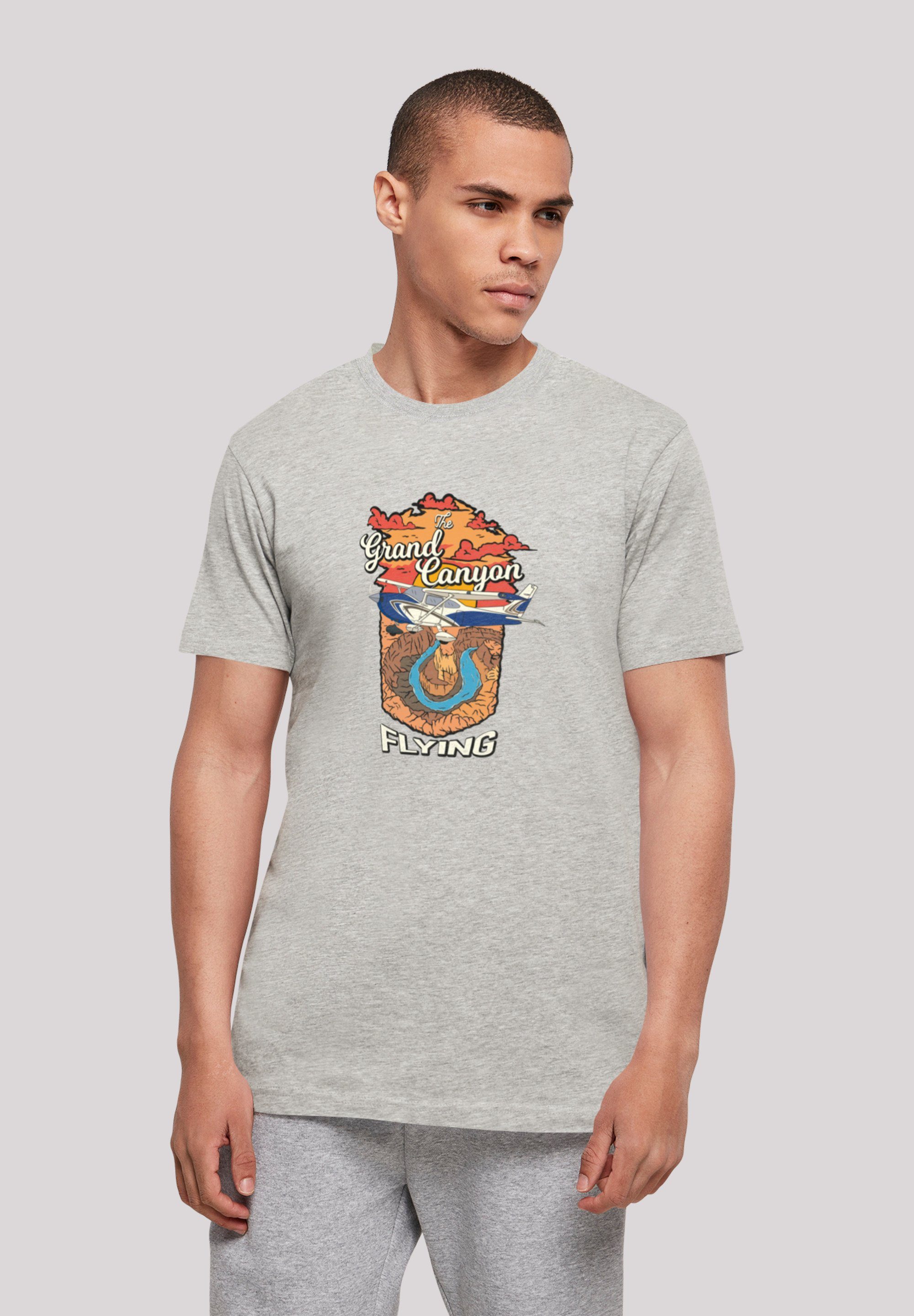 F4NT4STIC T-Shirt Grand Canyon Flying Print heather grey